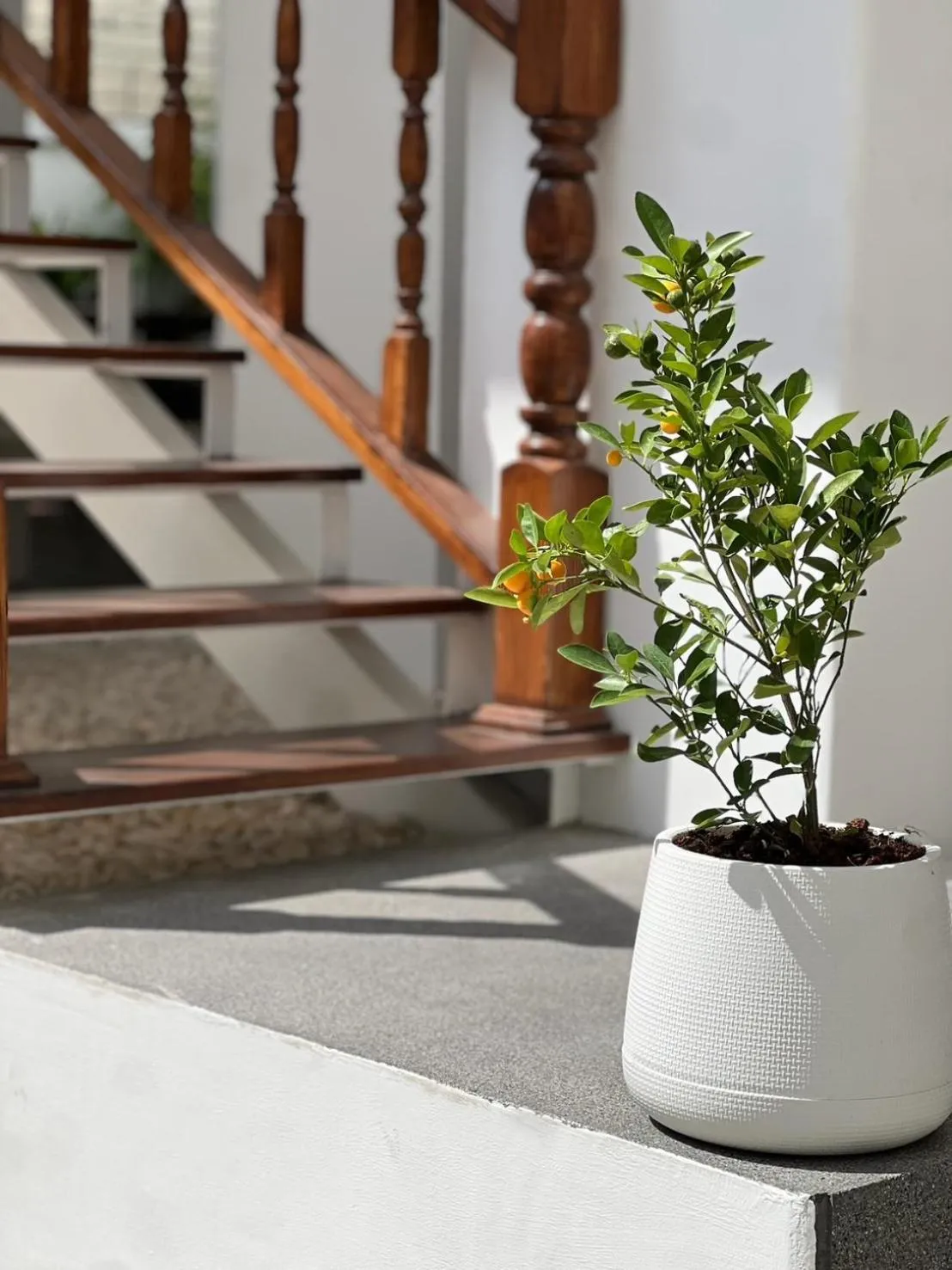 VELA Korat Hotel & Cafe'