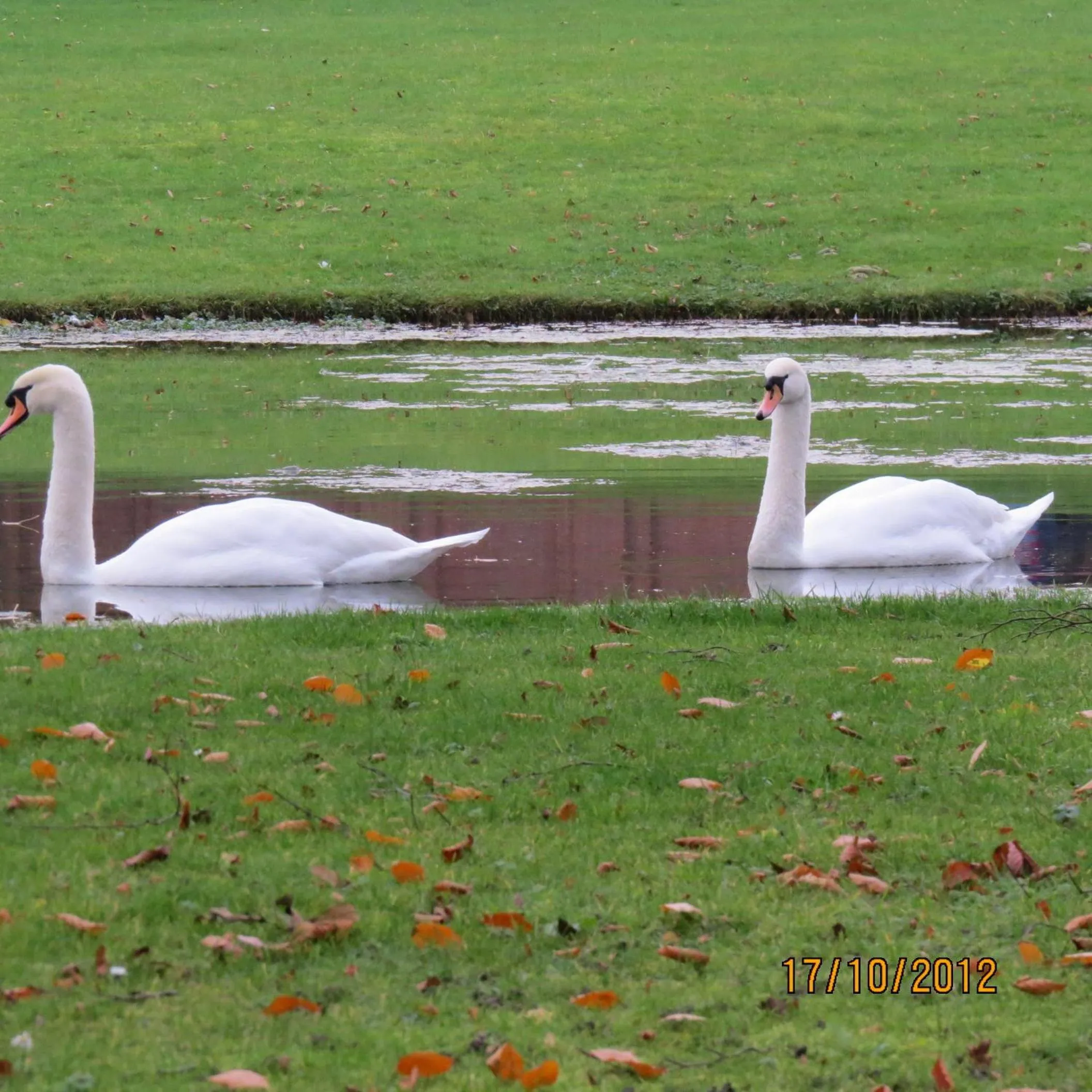 Lake view in The Old Coach House