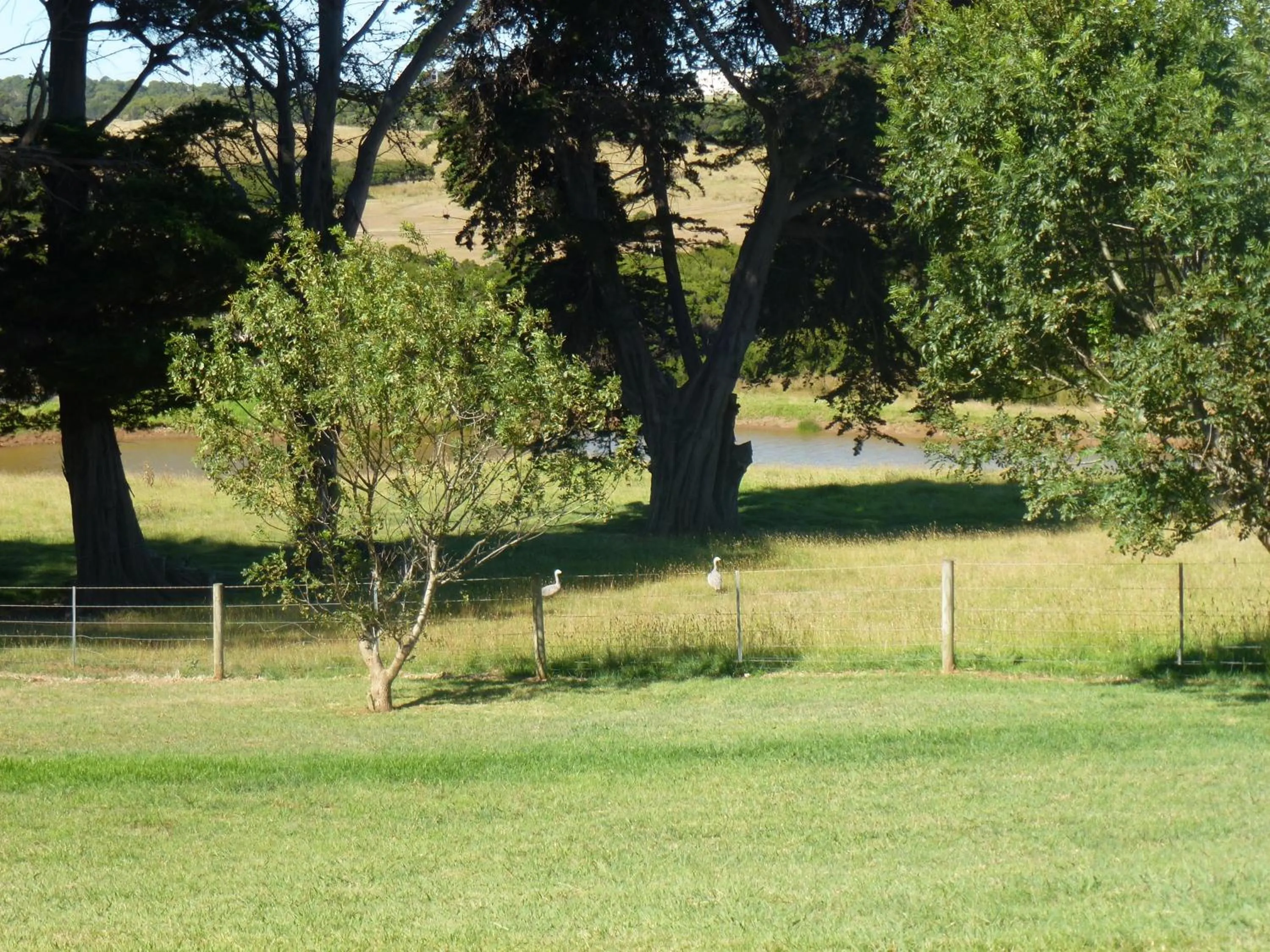 View (from property/room) in Grey Goose @ Smiths