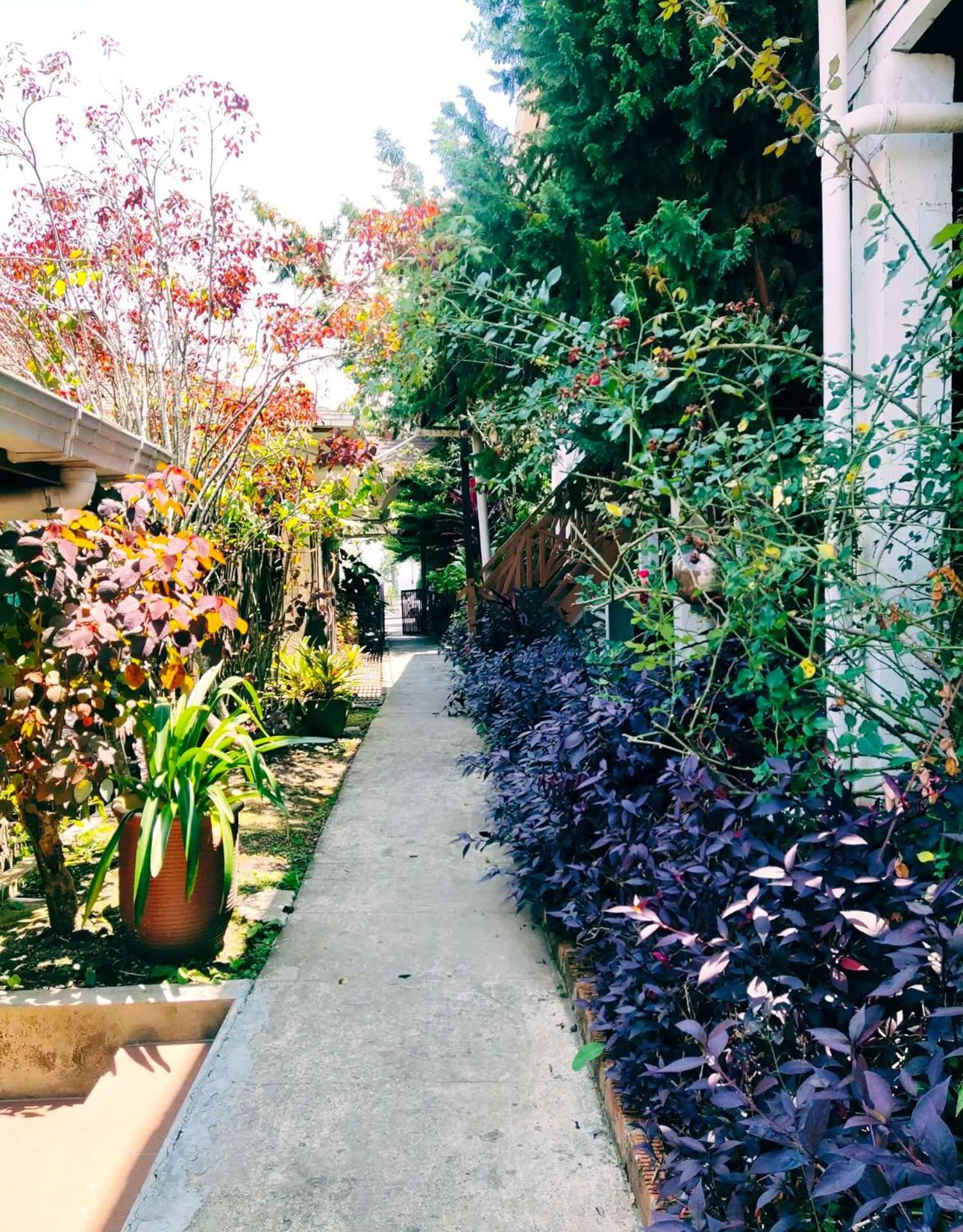 Decorative detail in Nabalu Kundasang