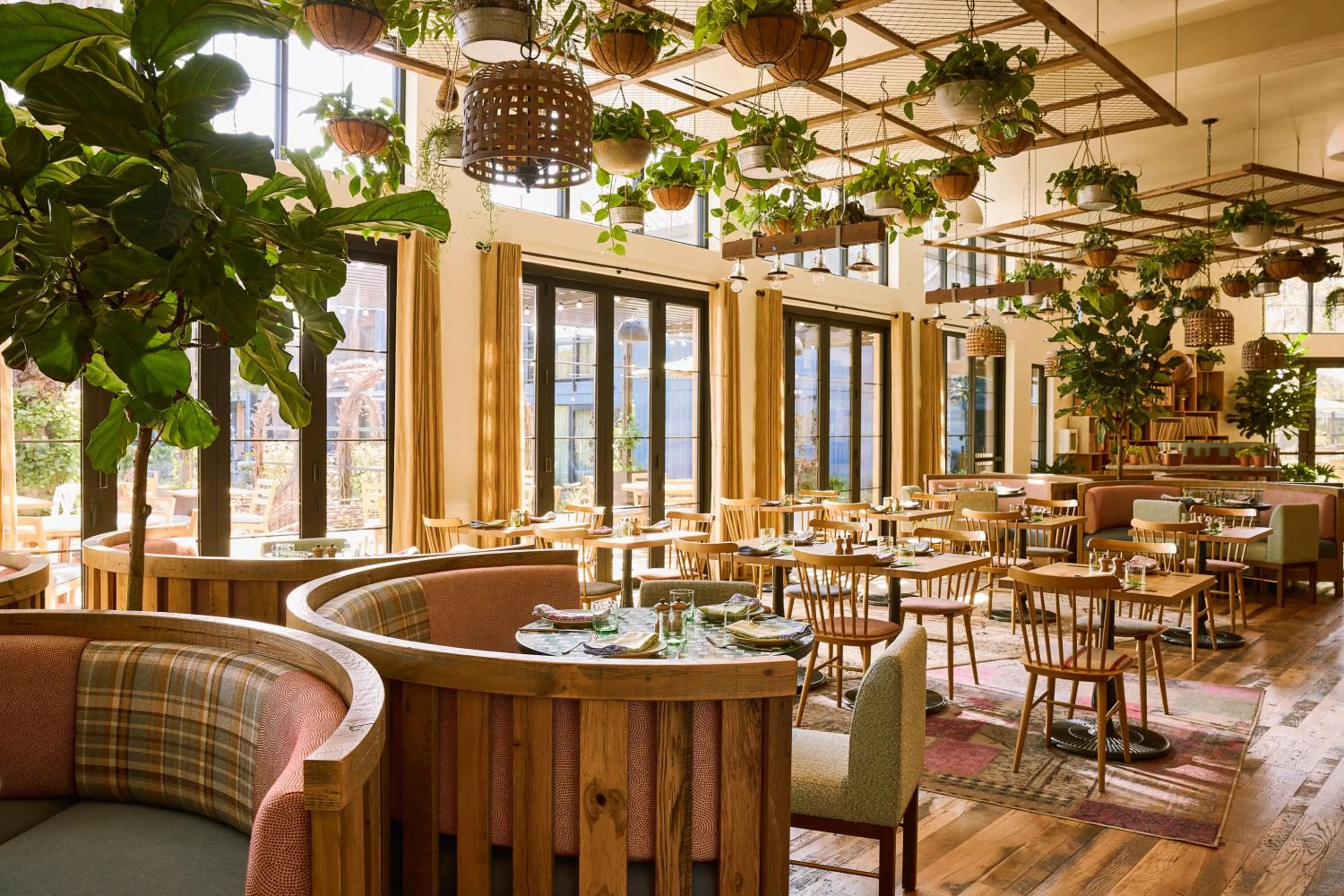 Restaurant/places to eat in Treehouse Hotel Silicon Valley