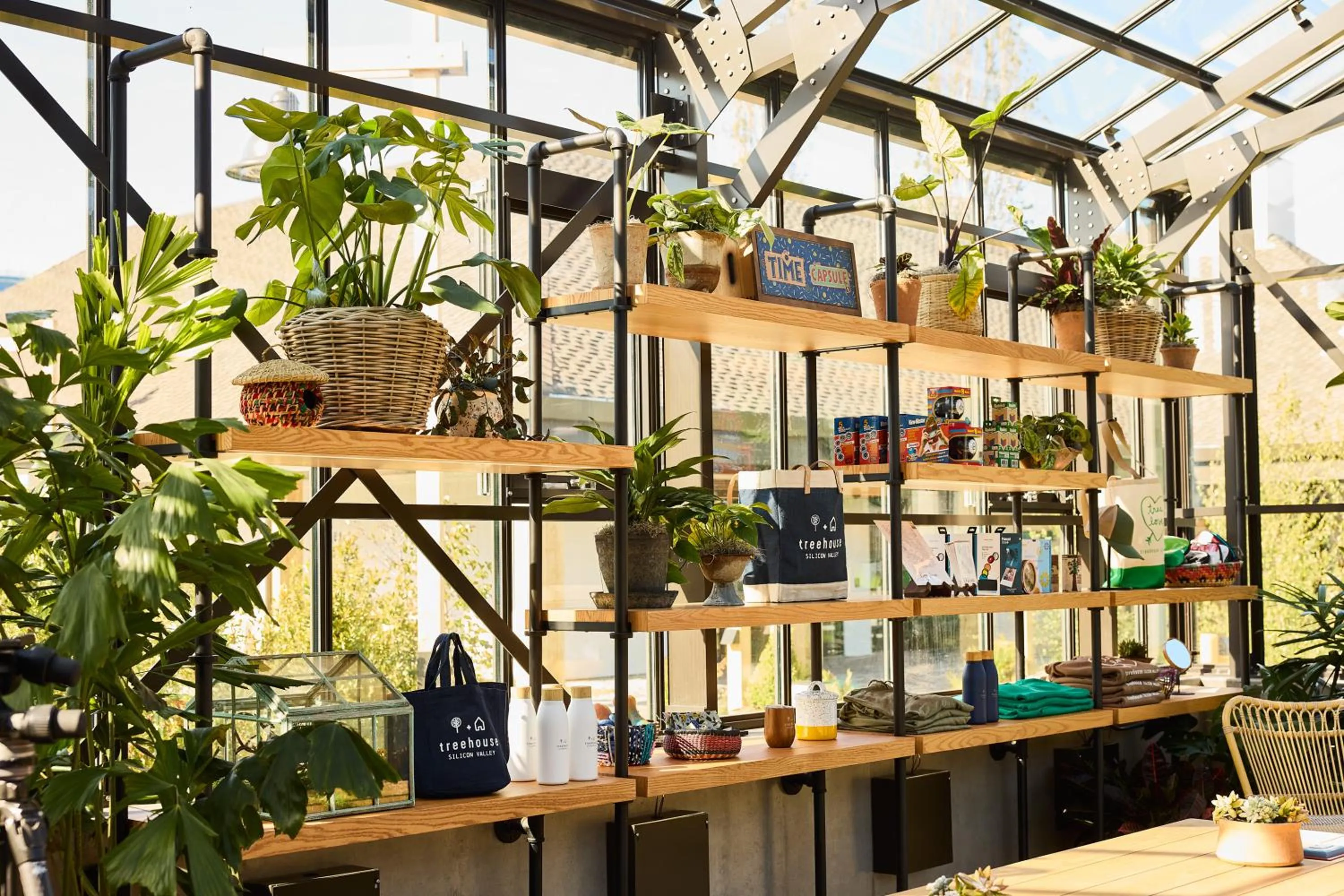 Lobby or reception in Treehouse Hotel Silicon Valley