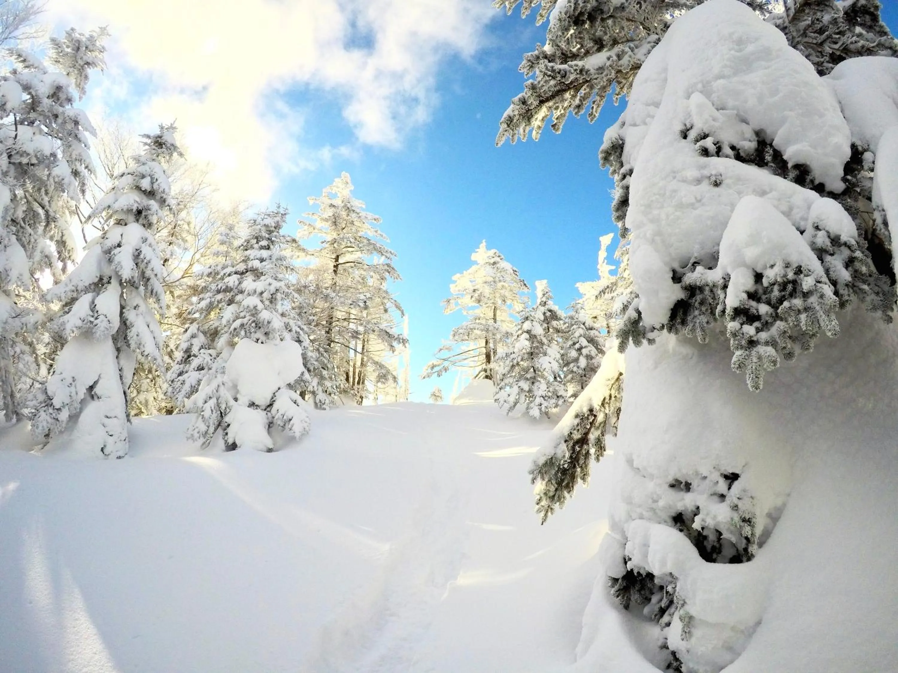 Natural landscape in Palcall Tsumagoi Resort Ski & Hotel