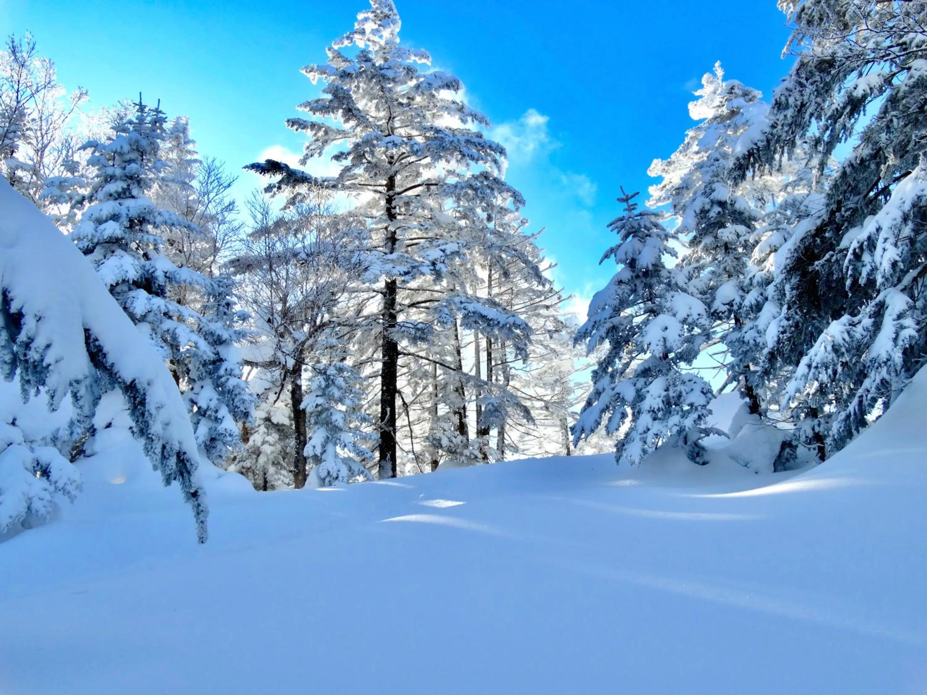 Natural landscape in Palcall Tsumagoi Resort Ski & Hotel