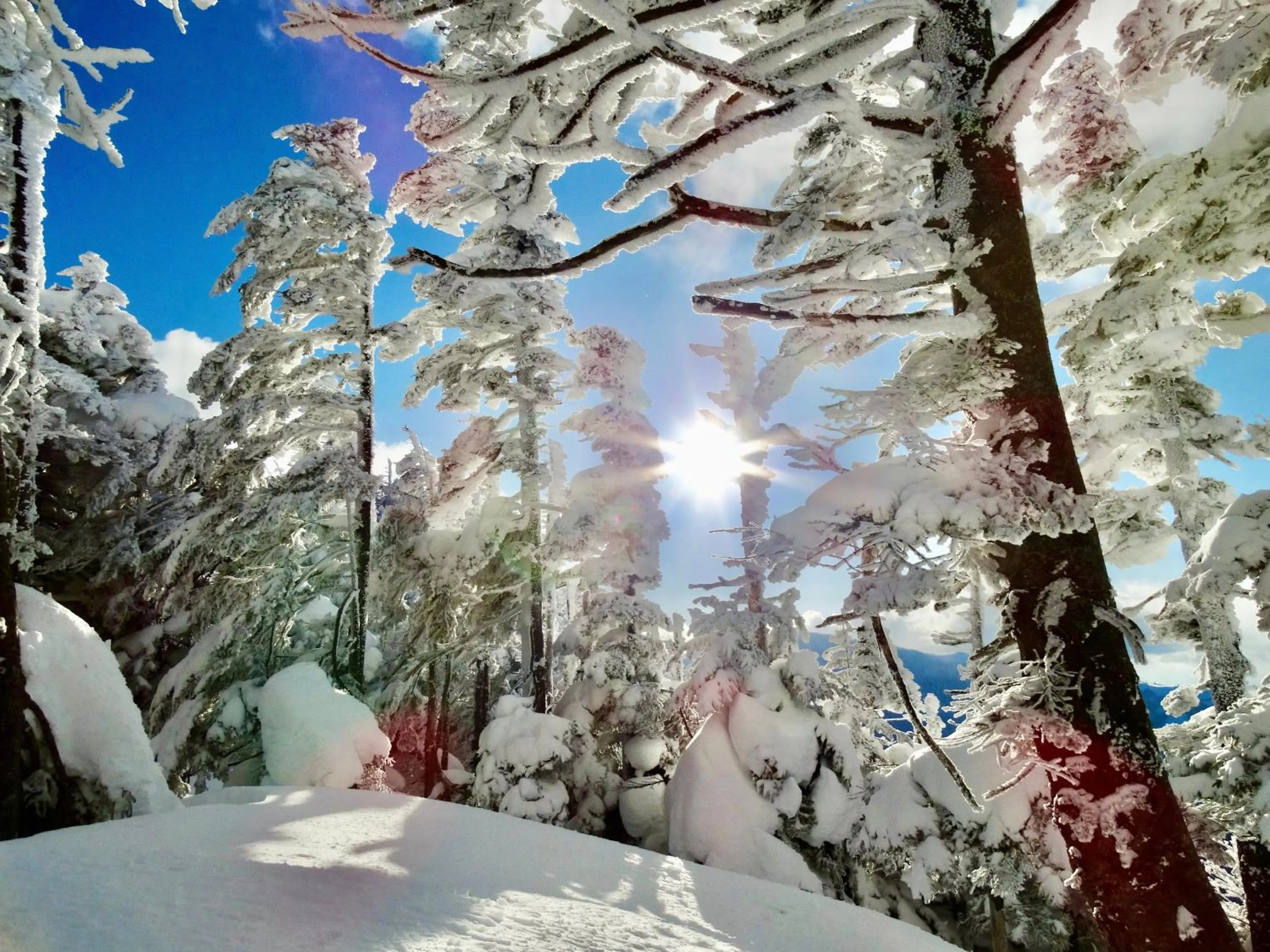 Winter in Palcall Tsumagoi Resort Ski & Hotel