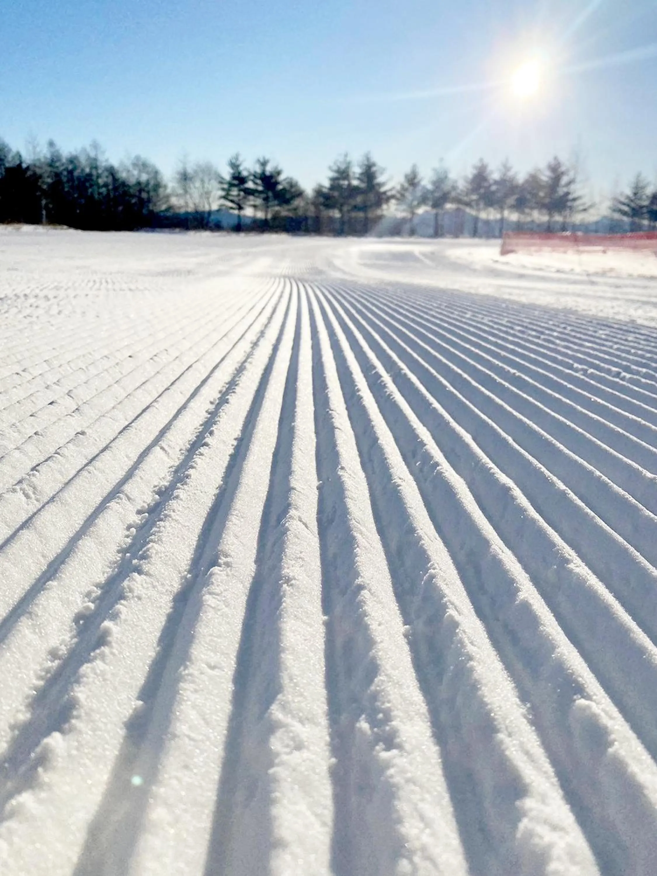 Skiing in Palcall Tsumagoi Resort Ski & Hotel