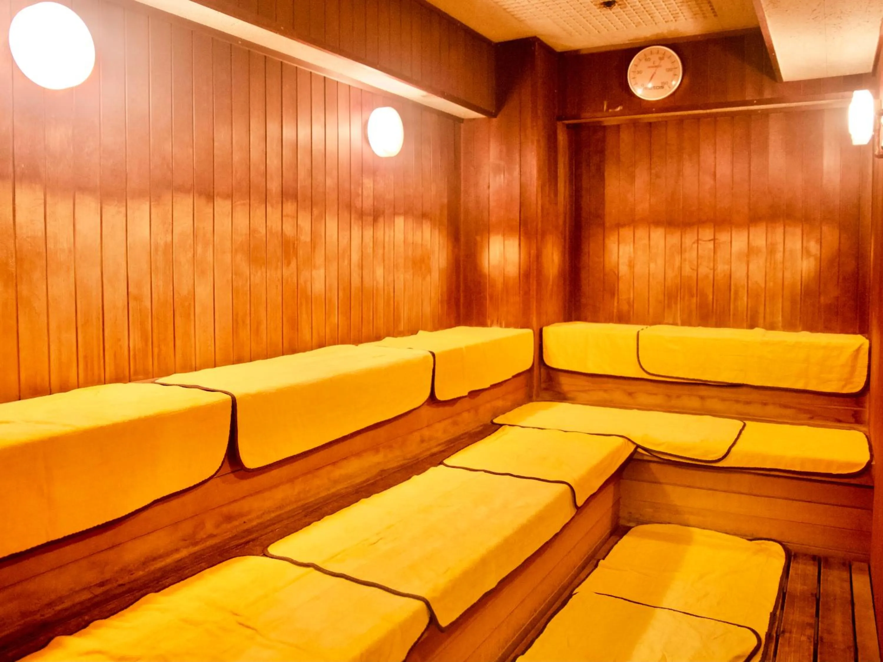 Sauna in Palcall Tsumagoi Resort Ski & Hotel