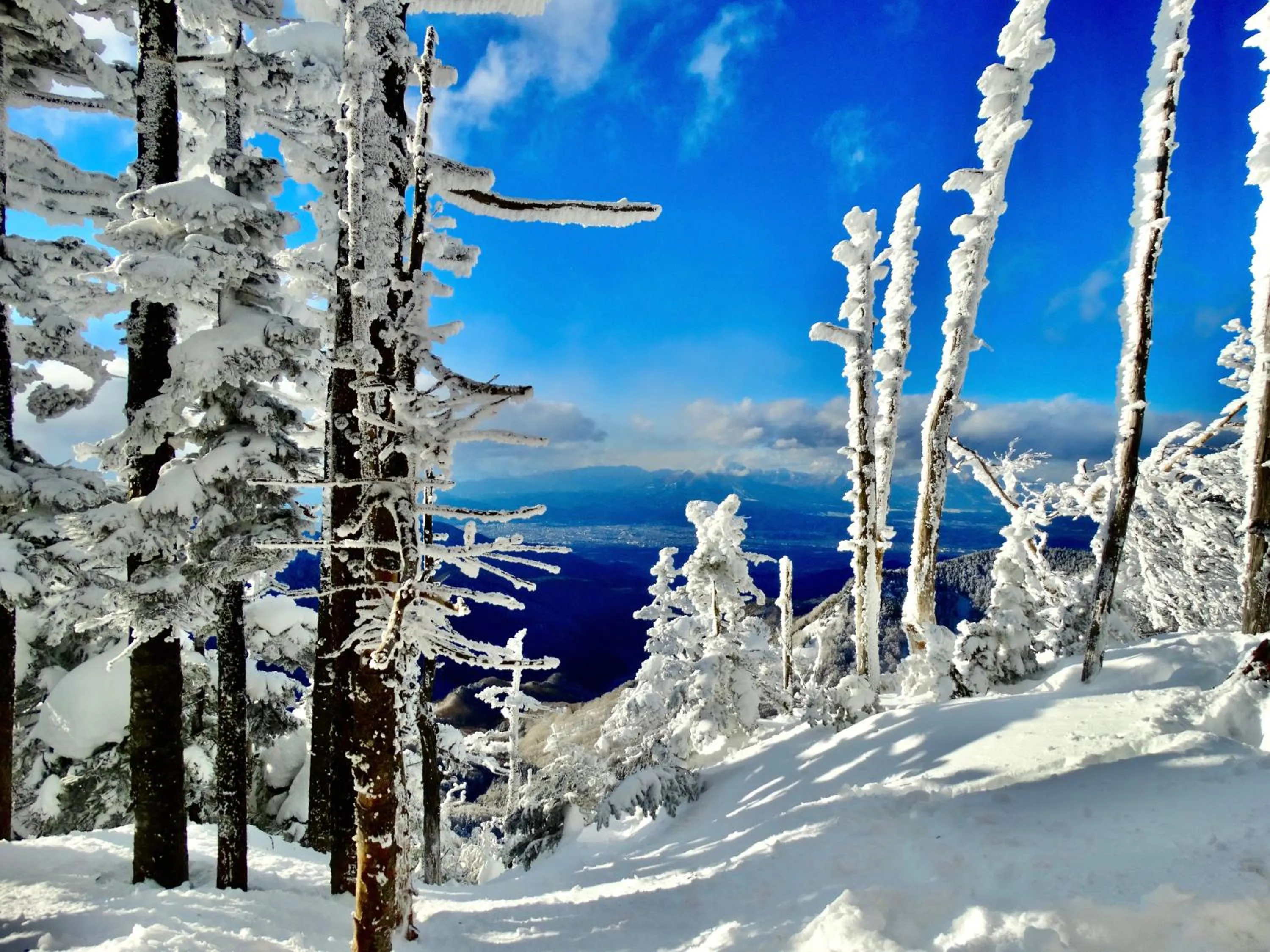 Natural landscape in Palcall Tsumagoi Resort Ski & Hotel