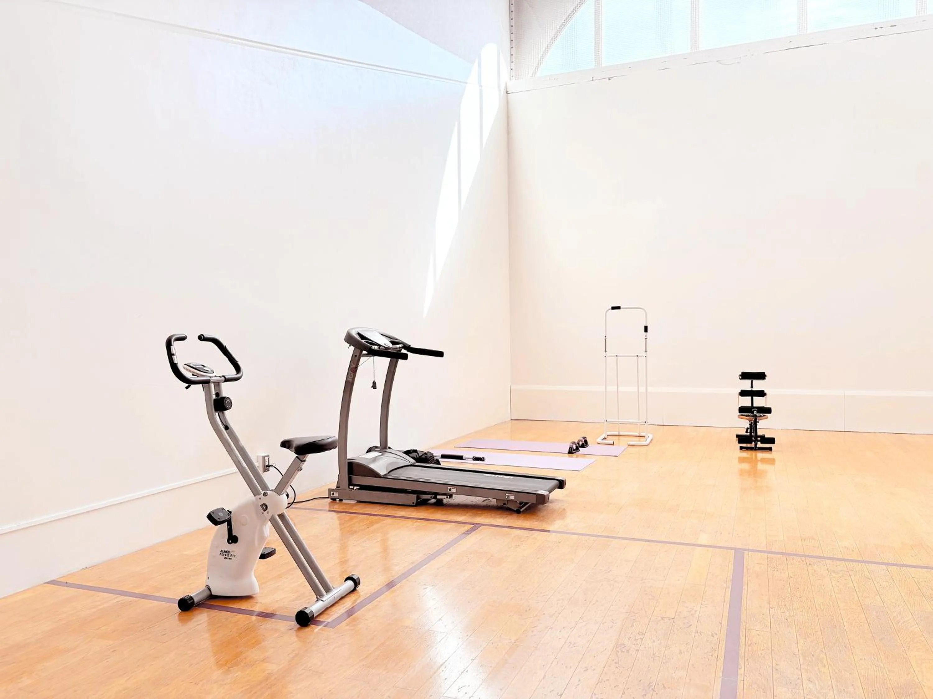 Fitness centre/facilities in Palcall Tsumagoi Resort Ski & Hotel