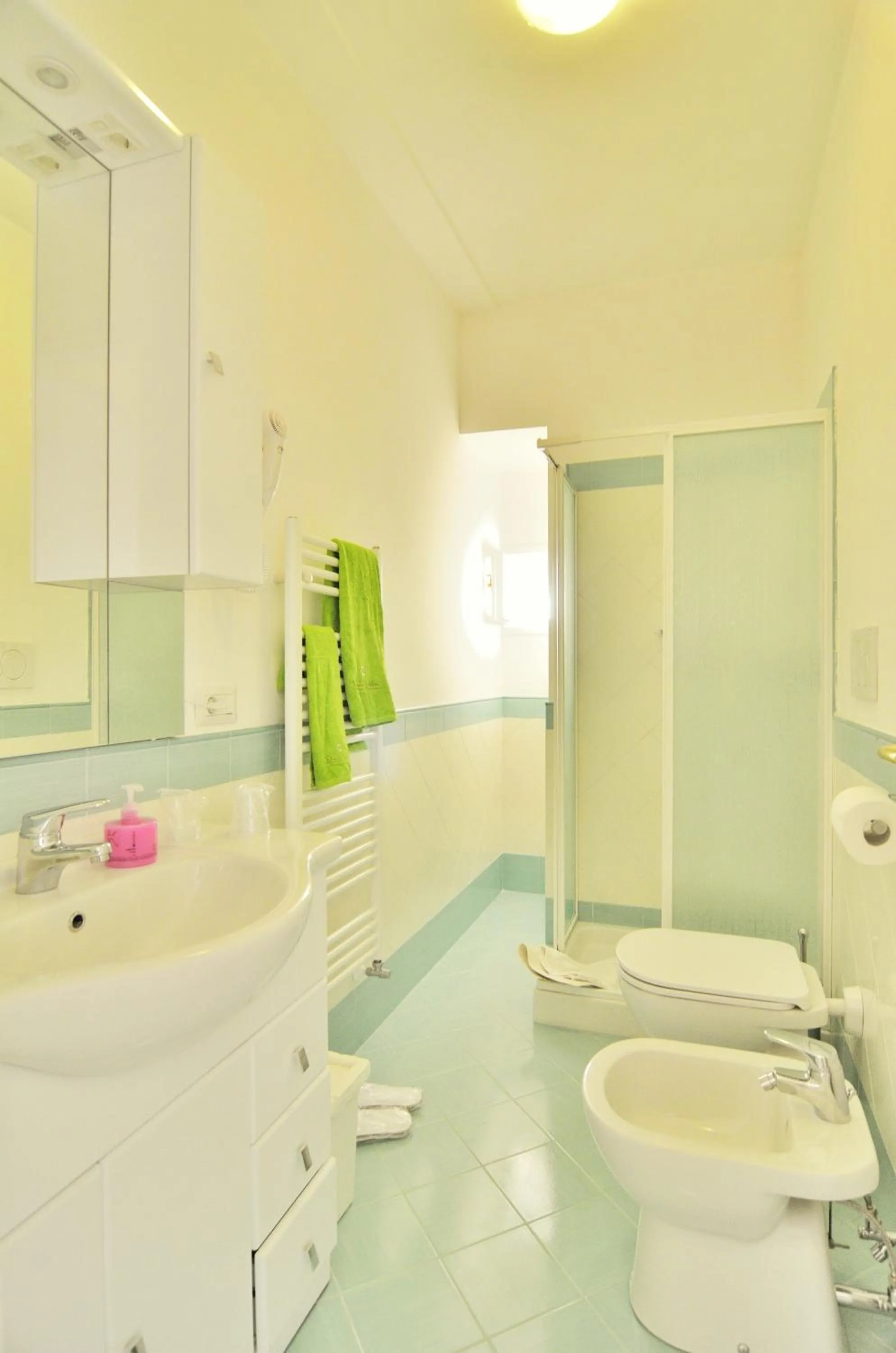 Bathroom in Lemon Flats Sorrento