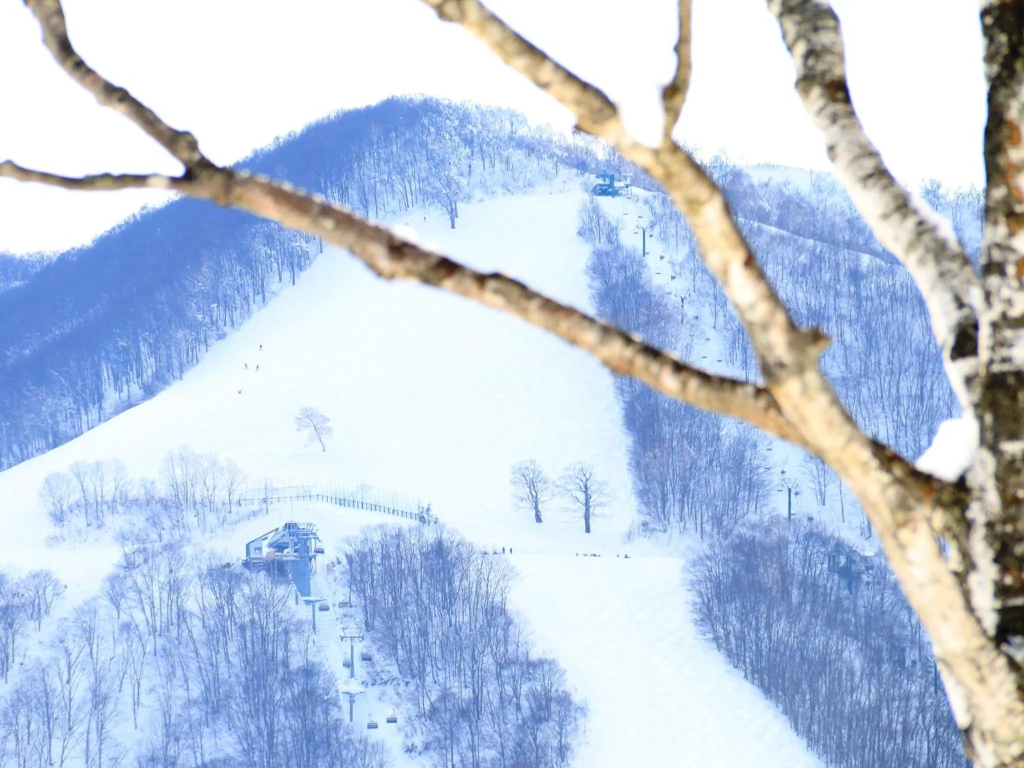 Off site in Marchen House Madarao