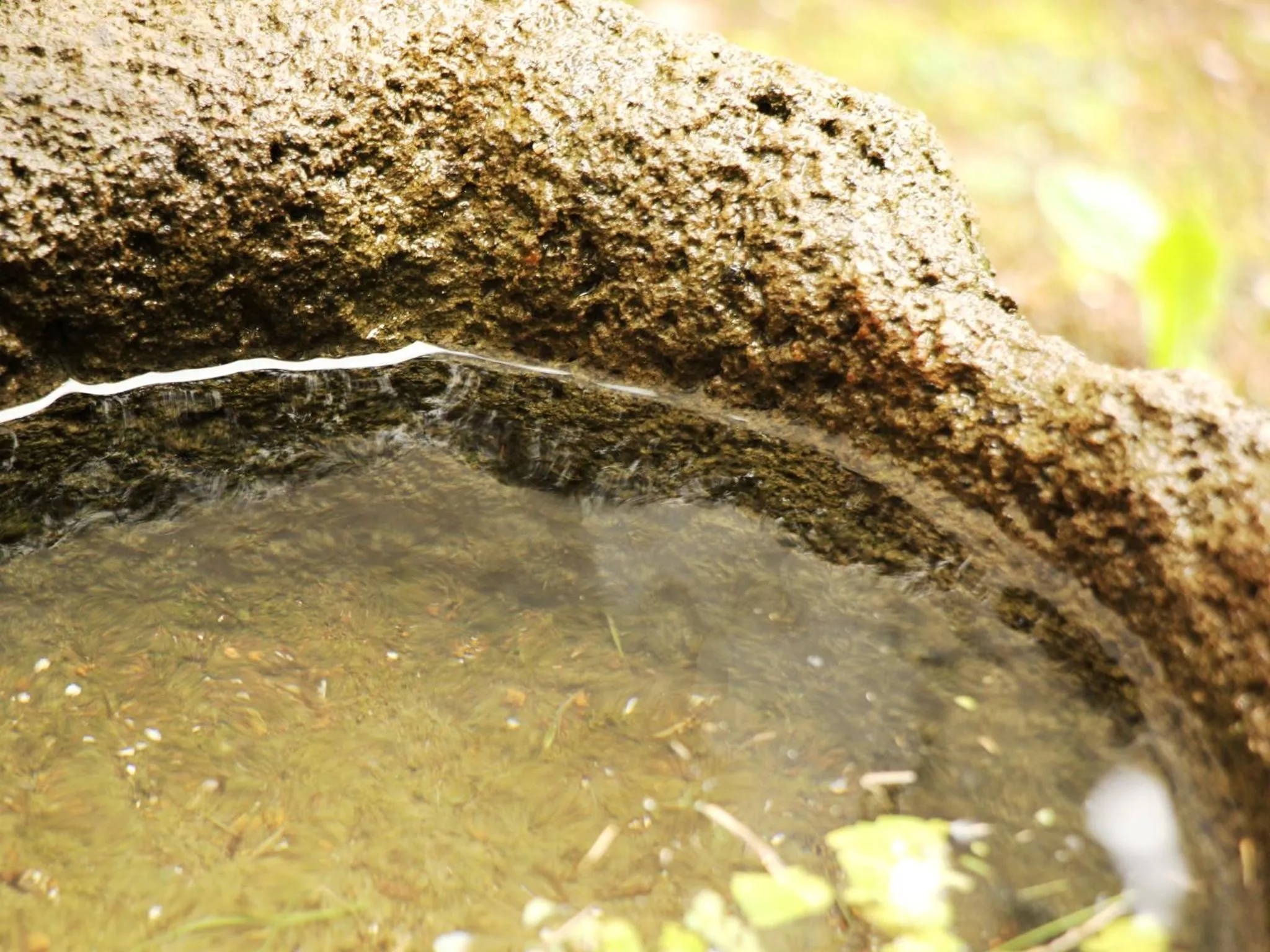 On site in Marchen House Madarao