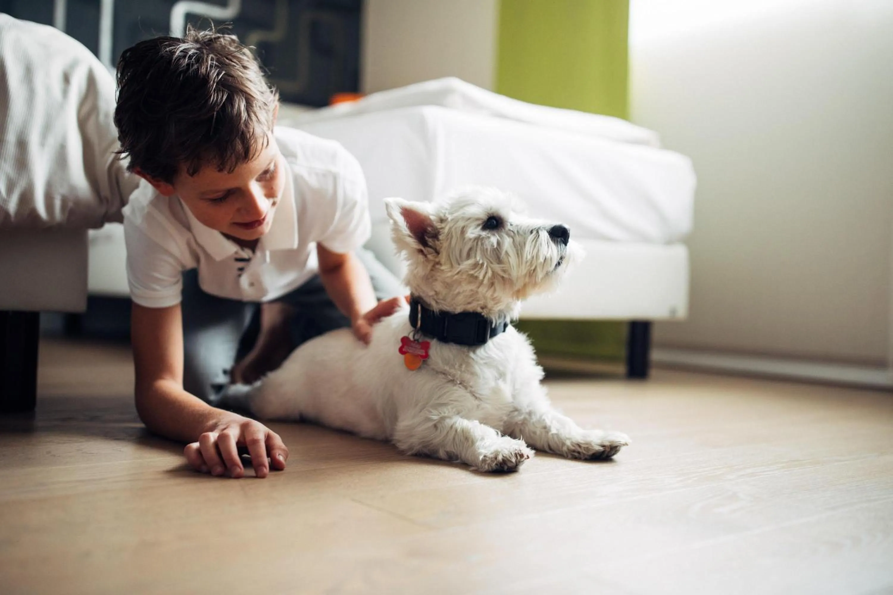 Pets in harry's home München hotel & apartments