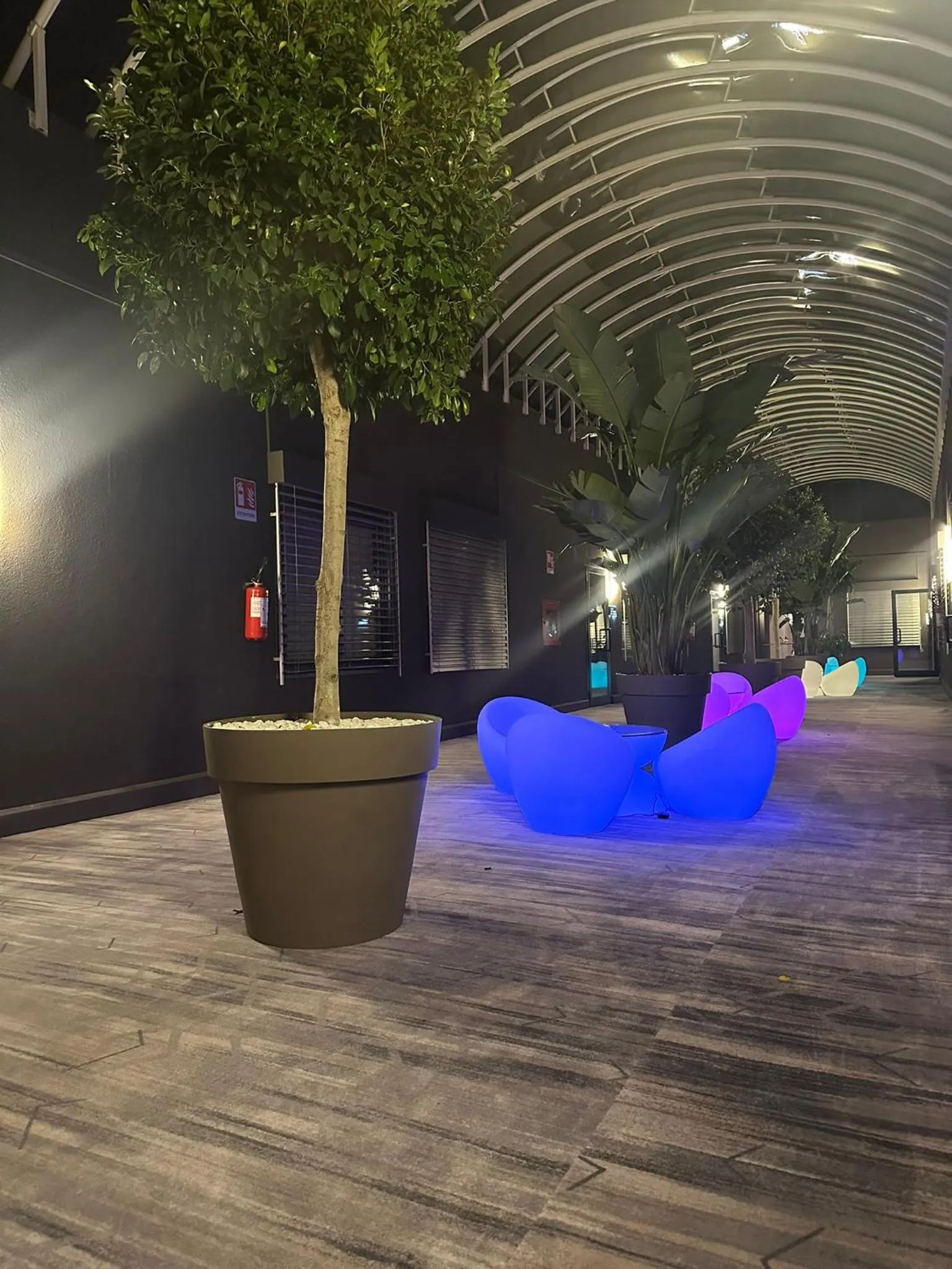 Balcony/Terrace in Hotel Royal