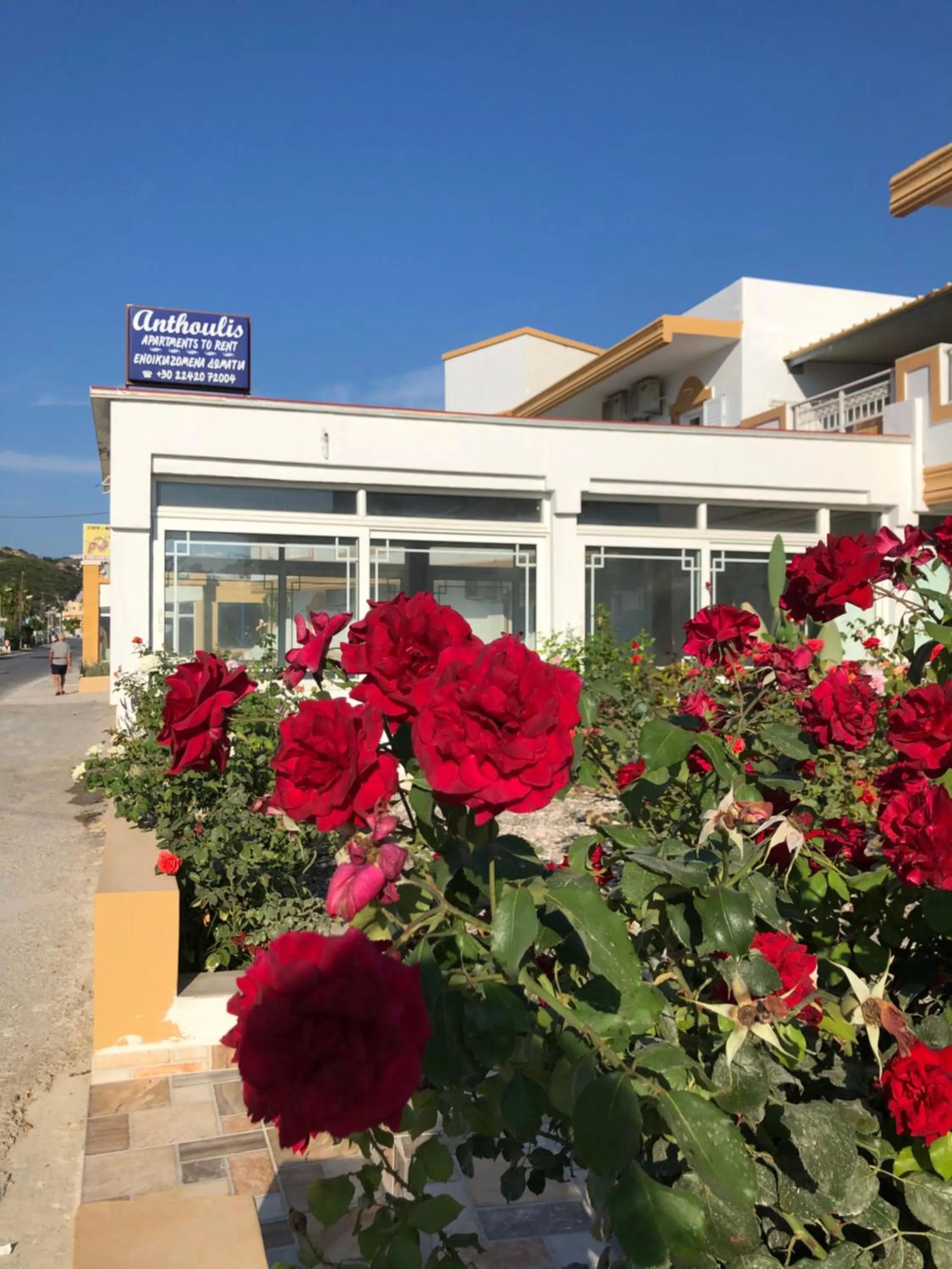 Property building in Anthoulis Studios