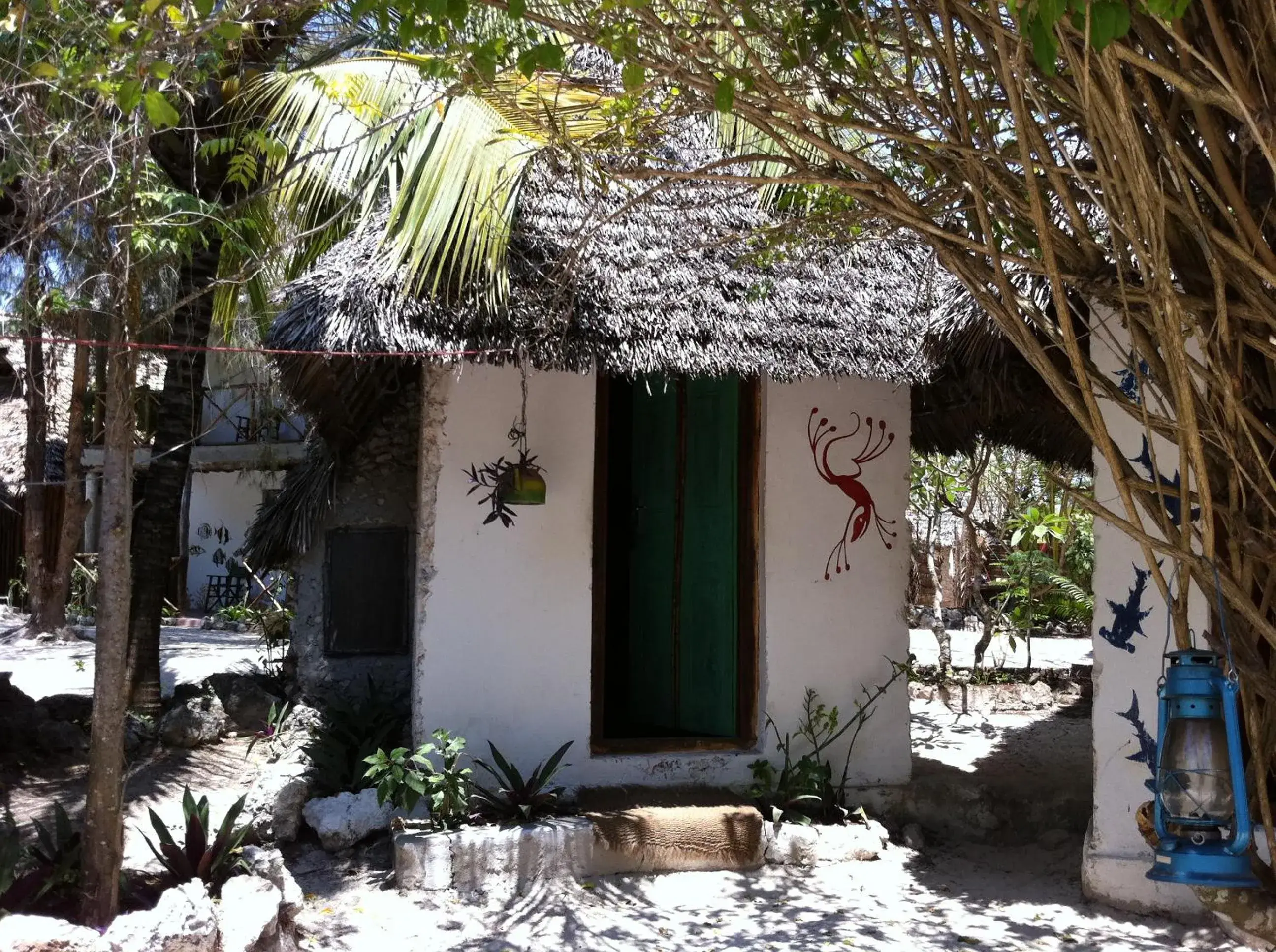 Double Room with Shared Bathroom in Mustapha' s Place Double Room with Shared Bathroom in Mustapha' s Place