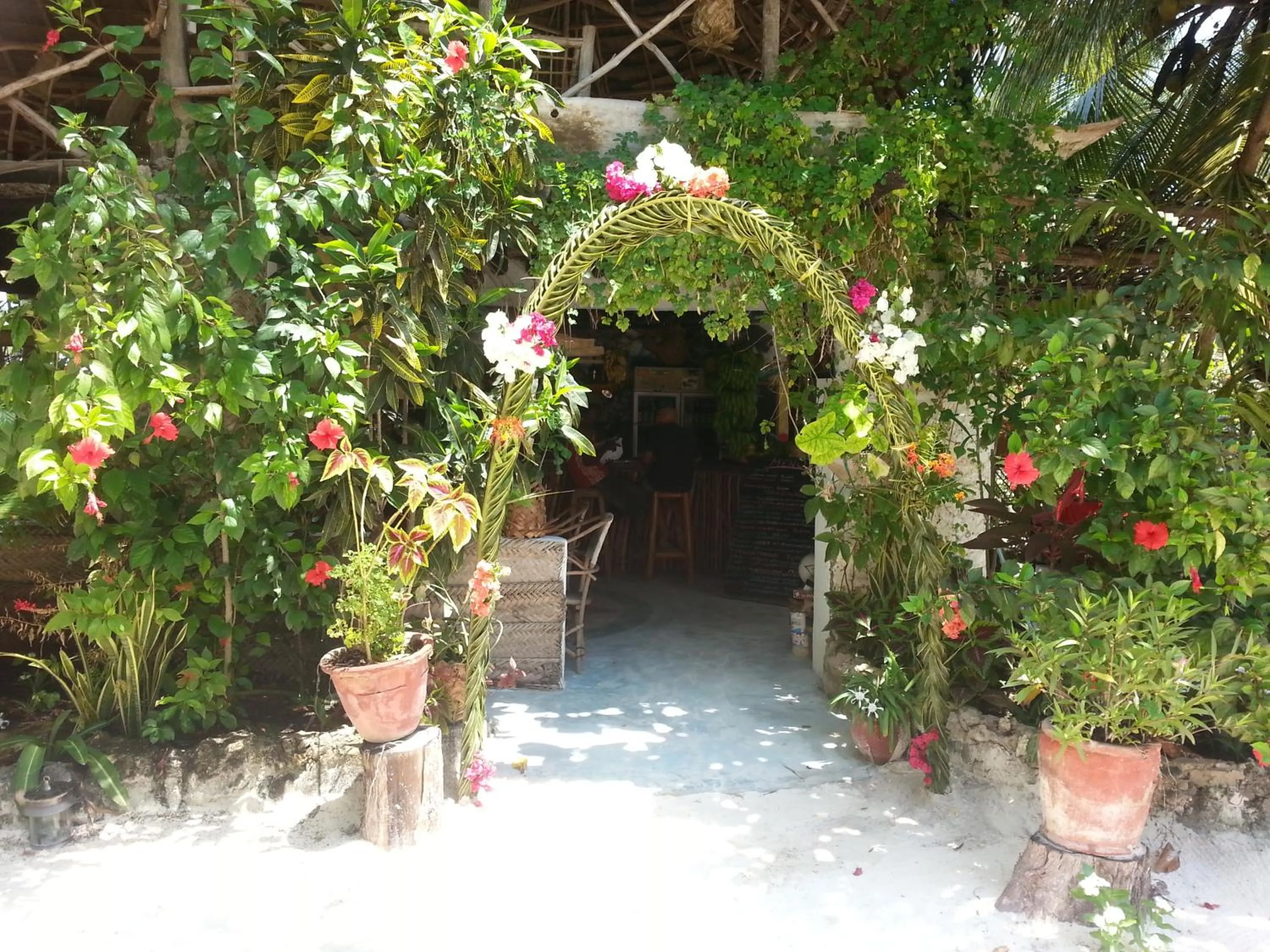 Garden in Mustapha' s Place