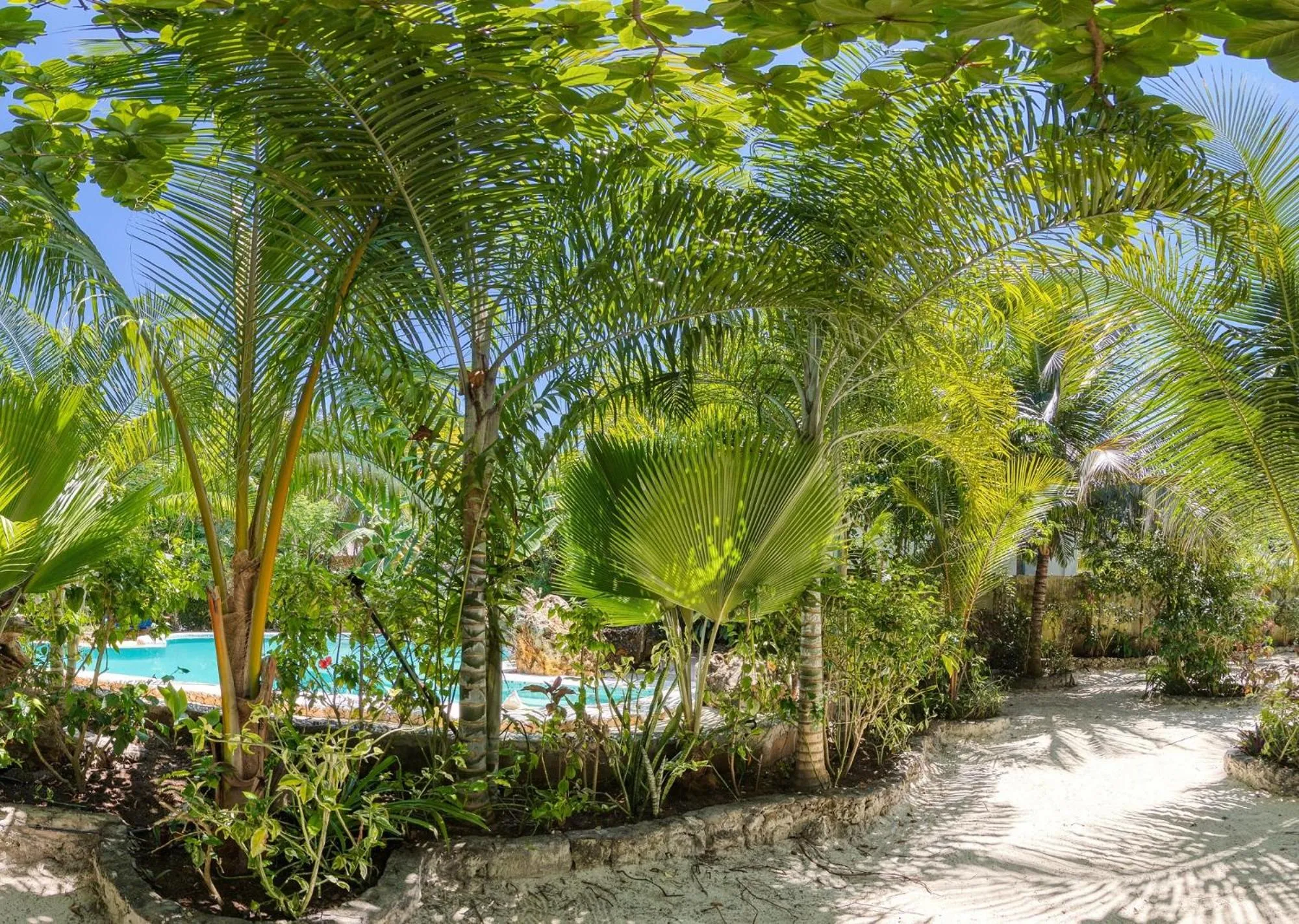 Garden in Mustapha' s Place