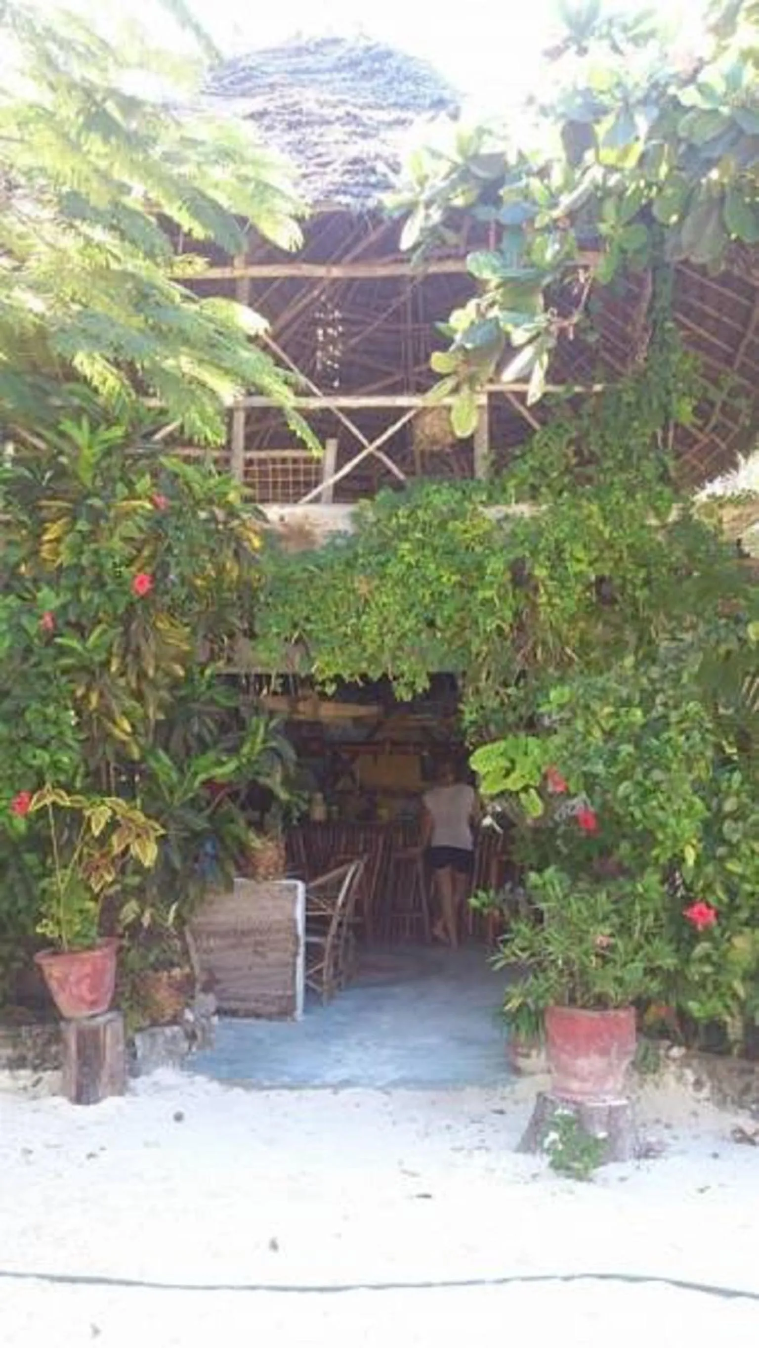 Garden in Mustapha' s Place