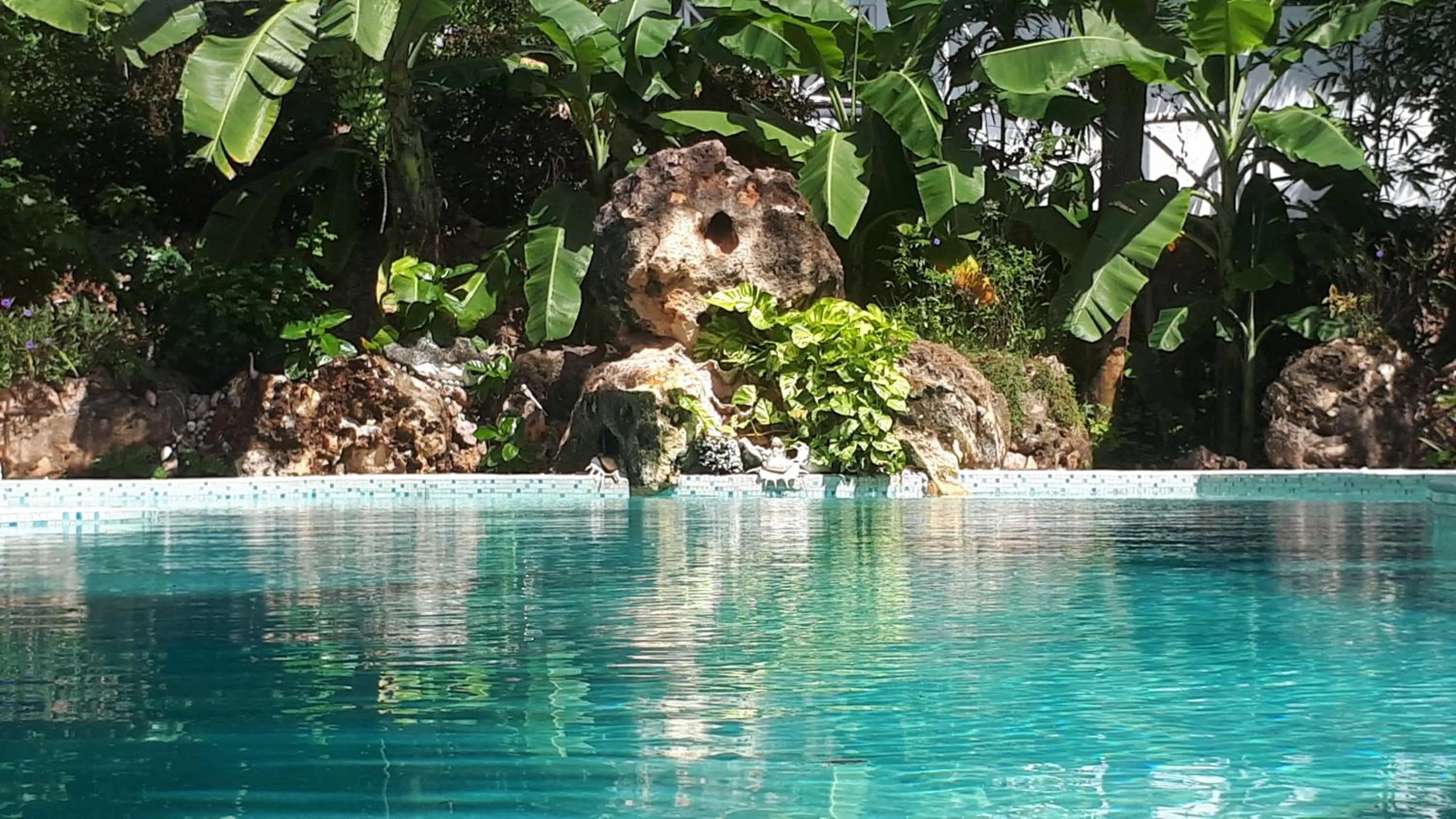 Swimming pool in Mustapha' s Place