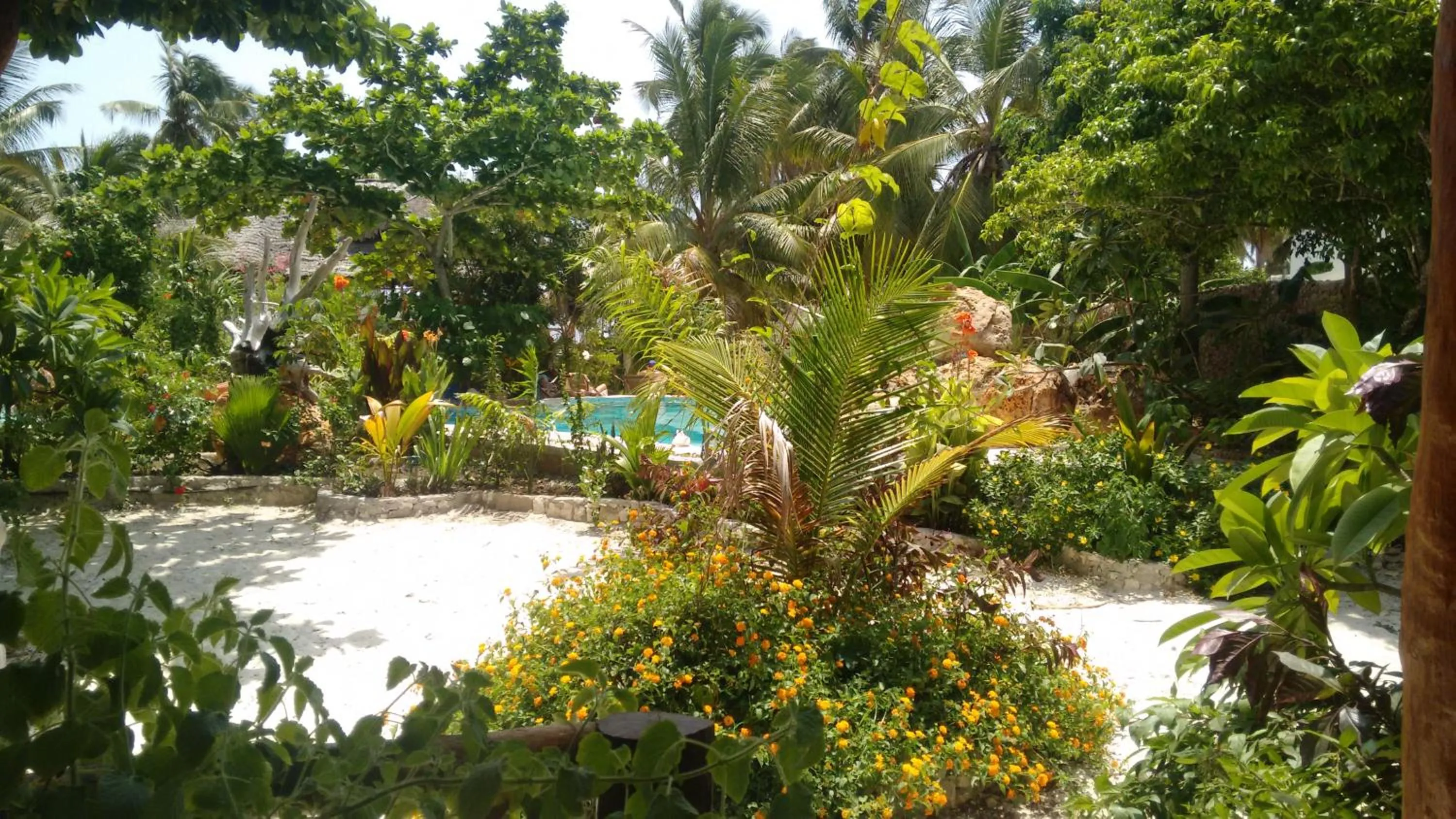 Garden view in Mustapha' s Place