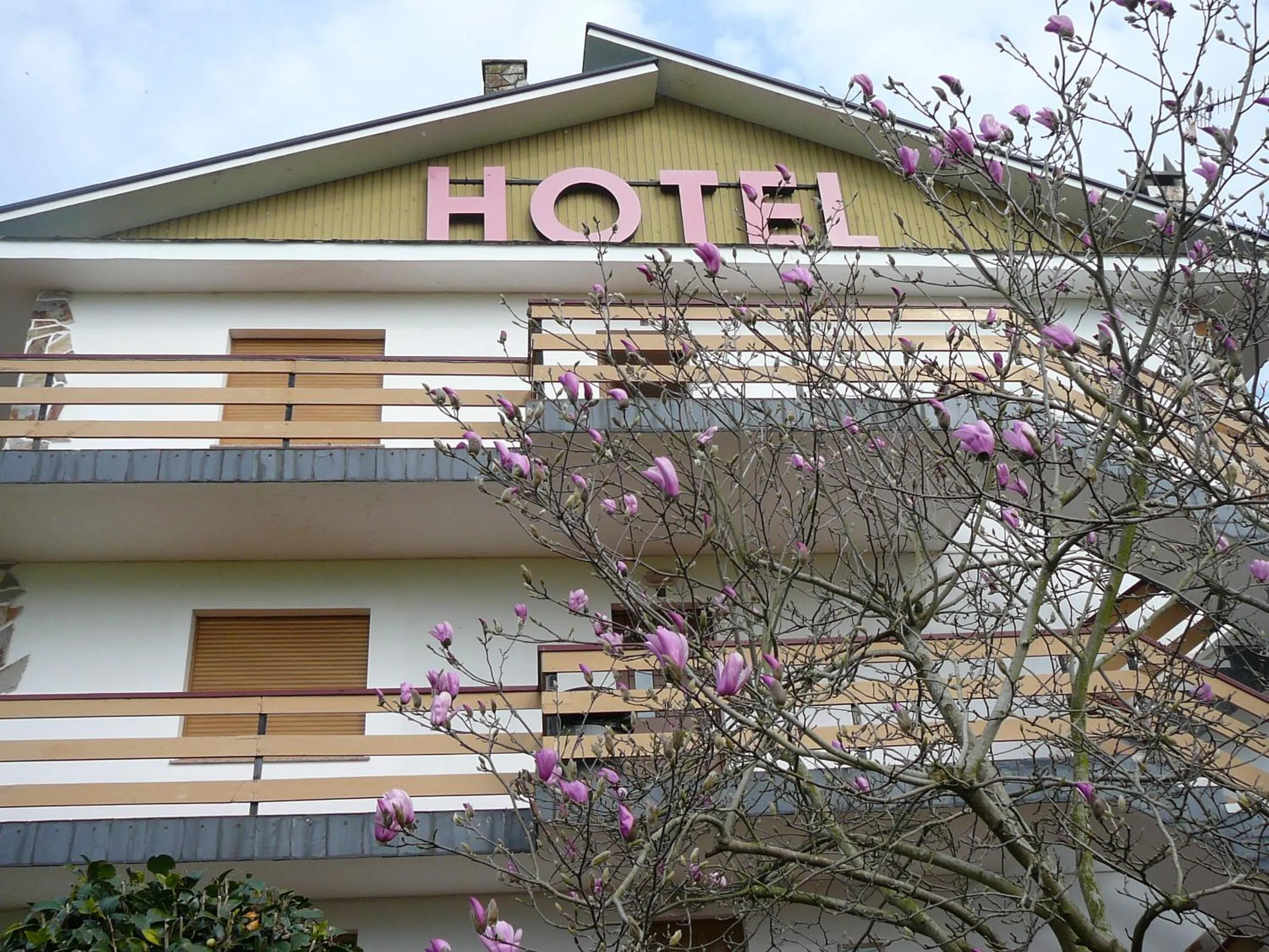 Facade/entrance in Hotel el Pinar