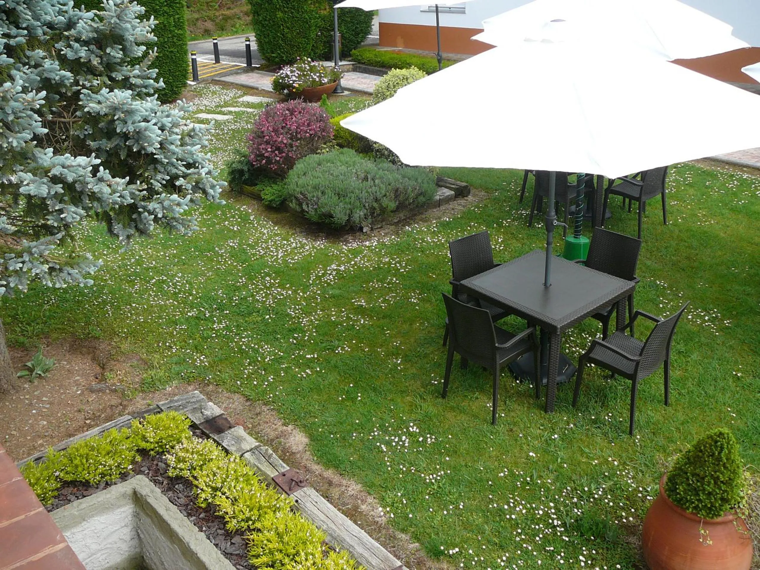 Garden in Hotel el Pinar