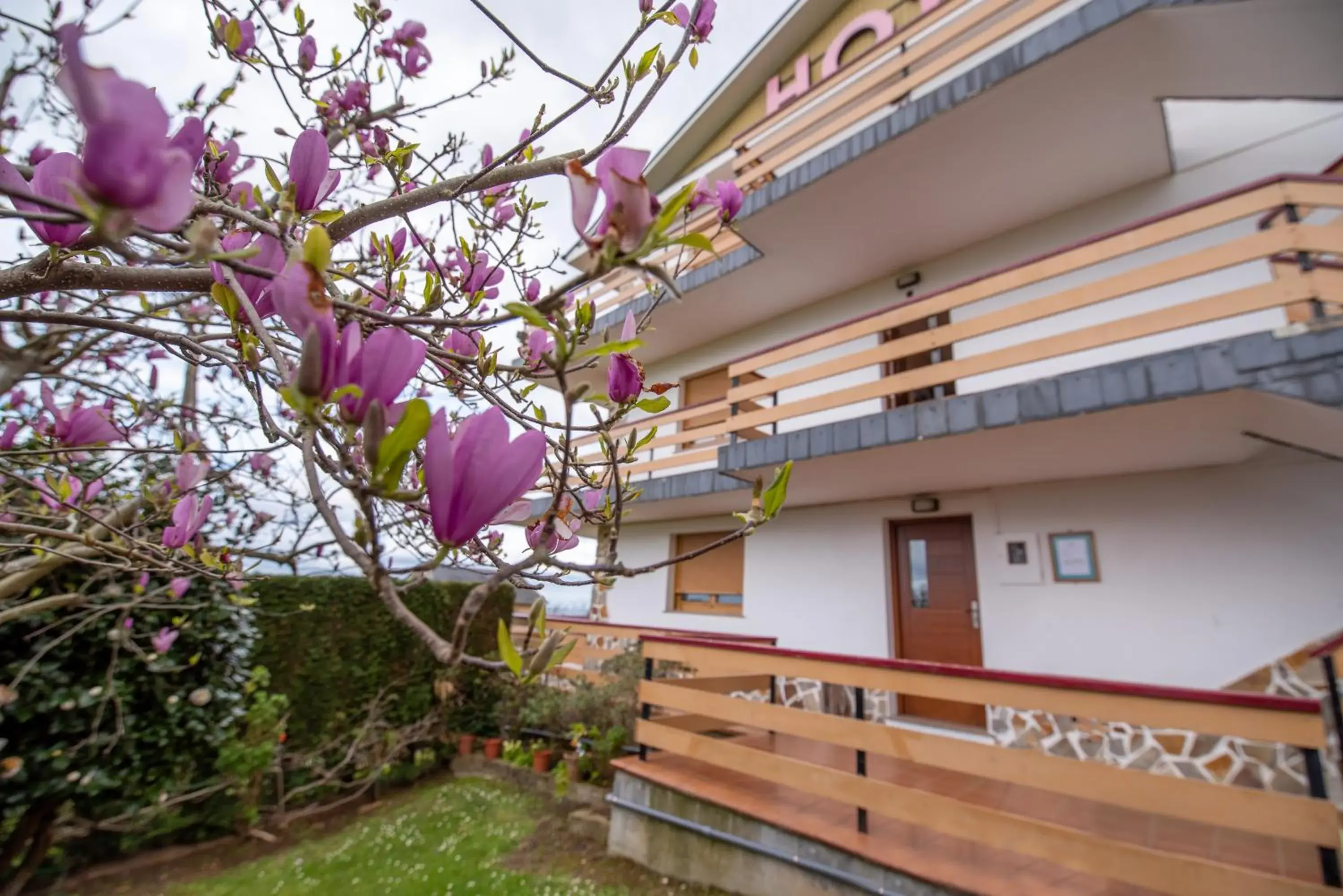 Hotel el Pinar Hotel el Pinar