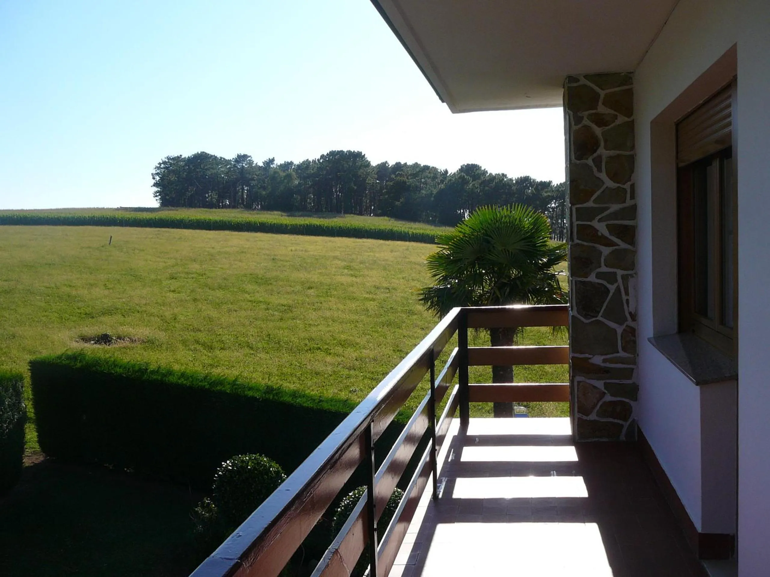 Garden view in Hotel el Pinar