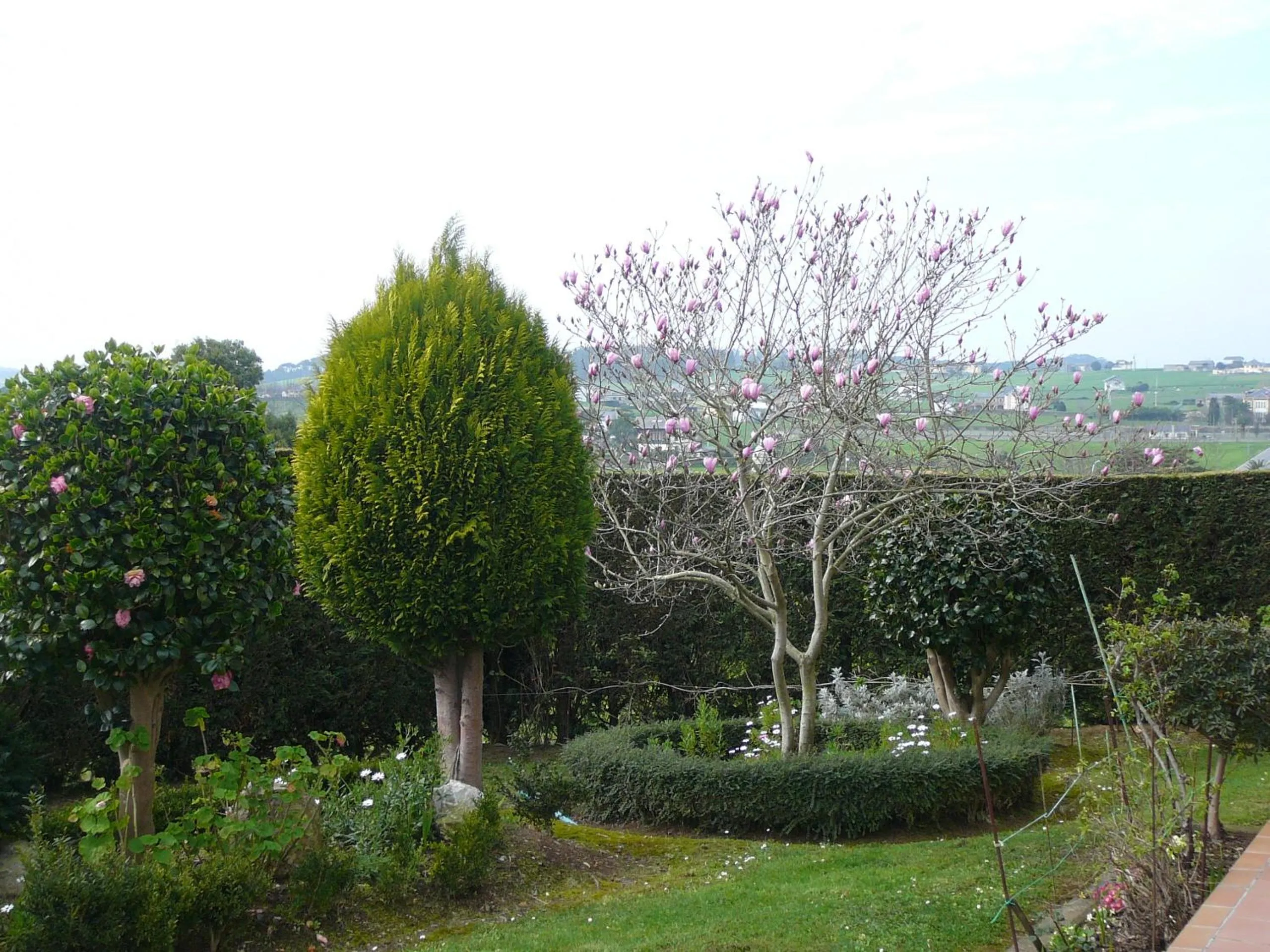 Garden in Hotel el Pinar