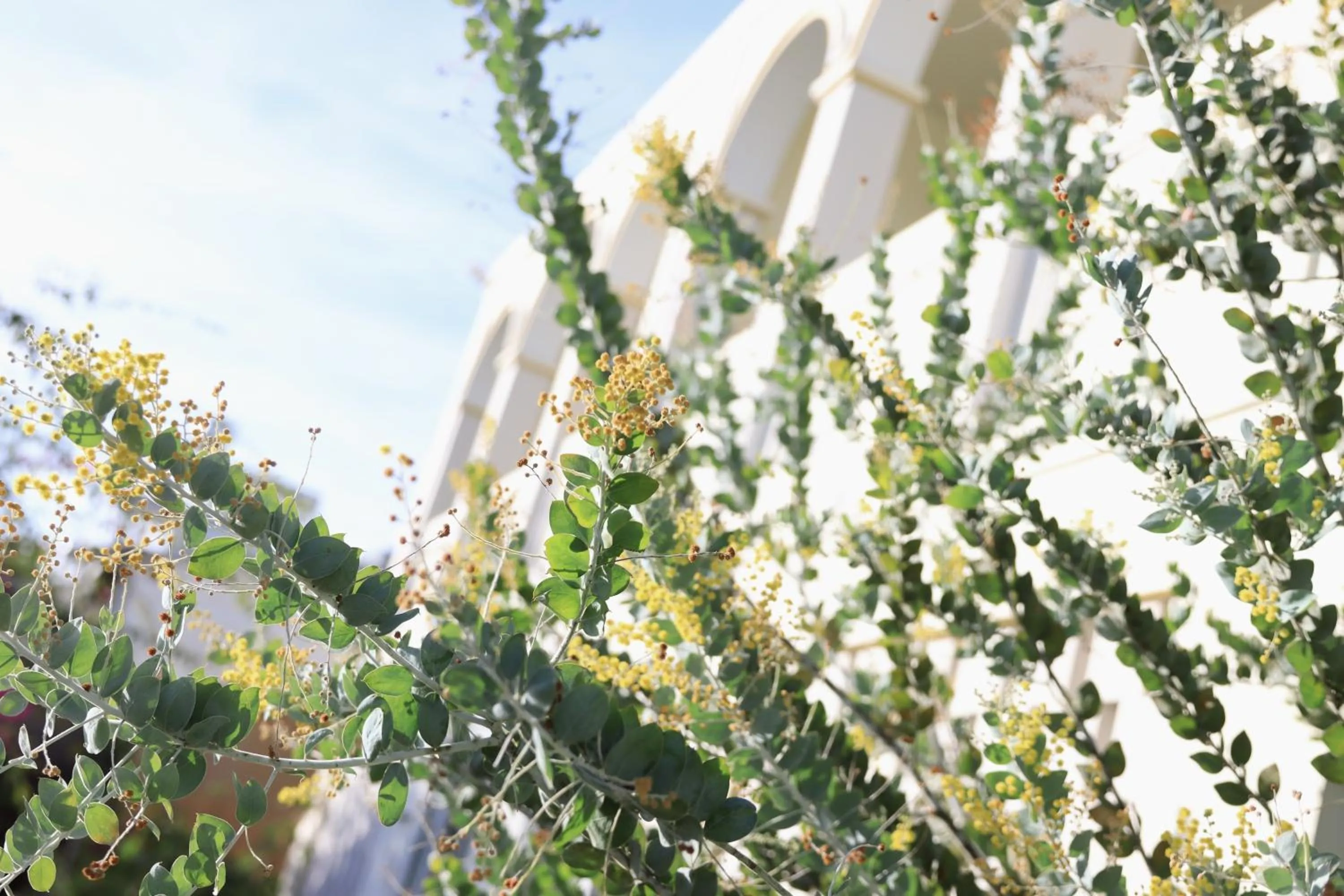 Le Macaron Garden Stay - City Boutique Hotel Da Lat