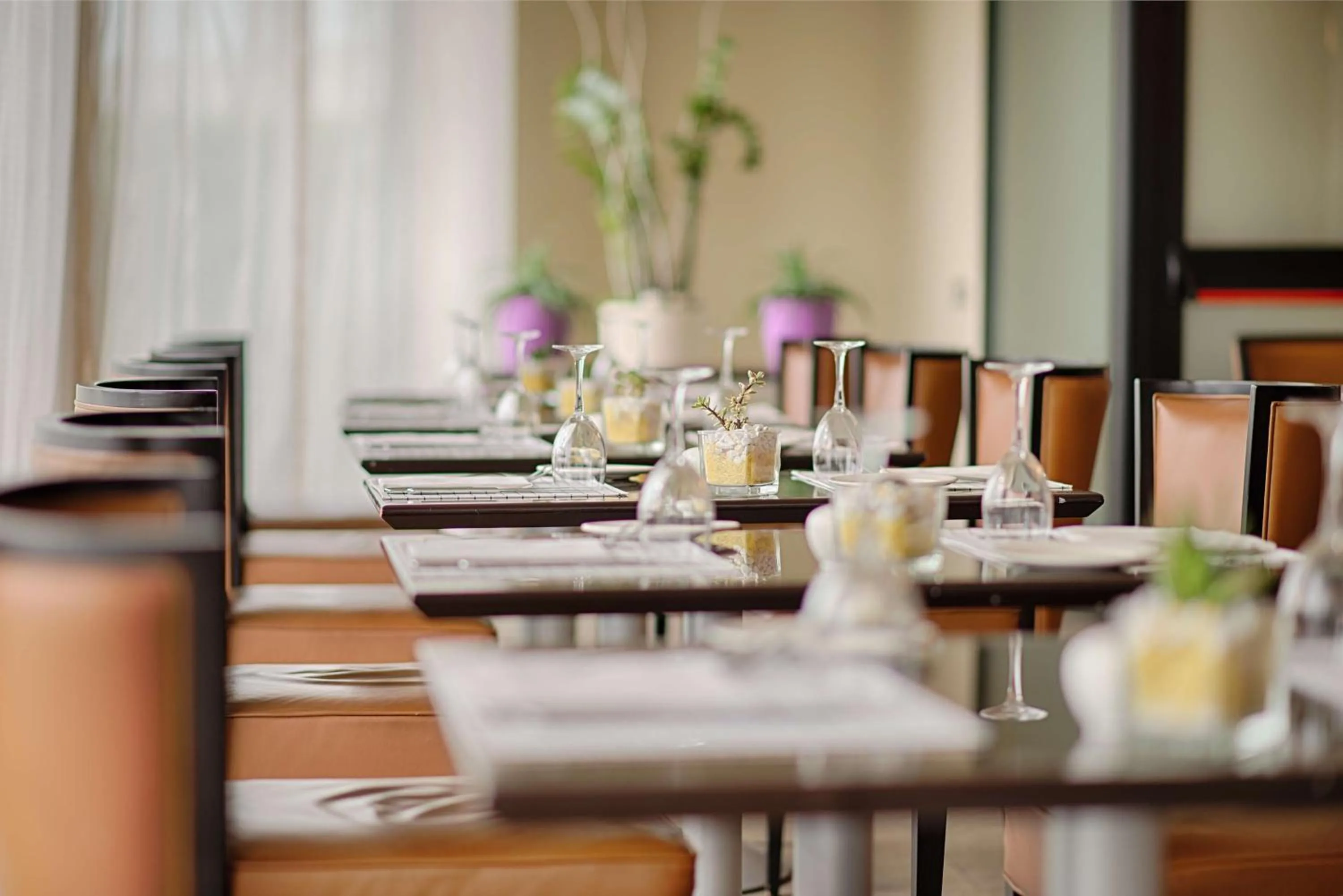 Restaurant/places to eat in NH Linate