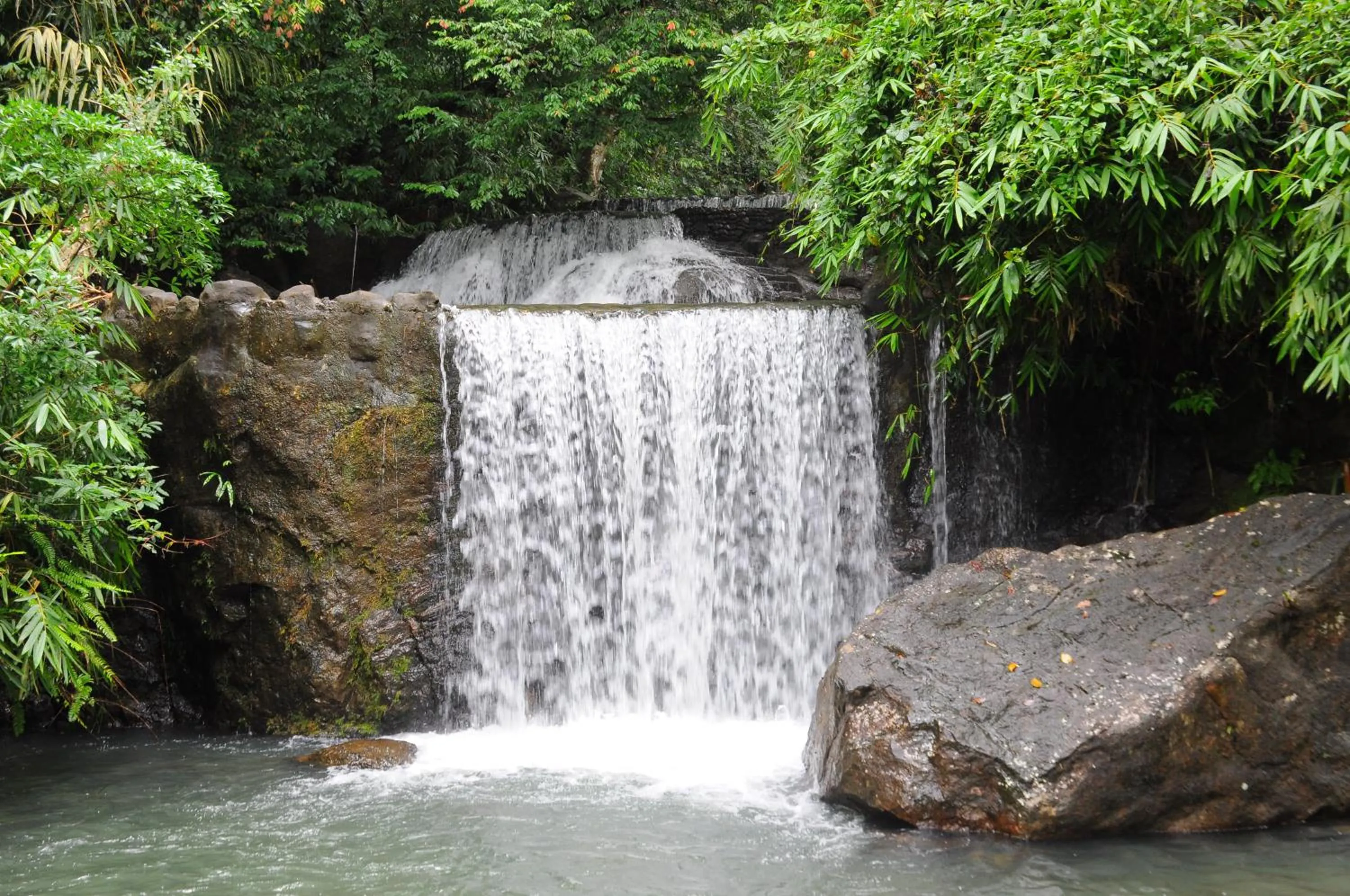 Natural landscape in Wijaya Holiday Resort
