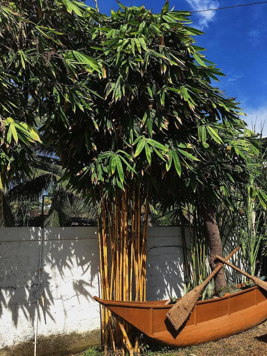 Ceylon Surf Guest and Restaurant