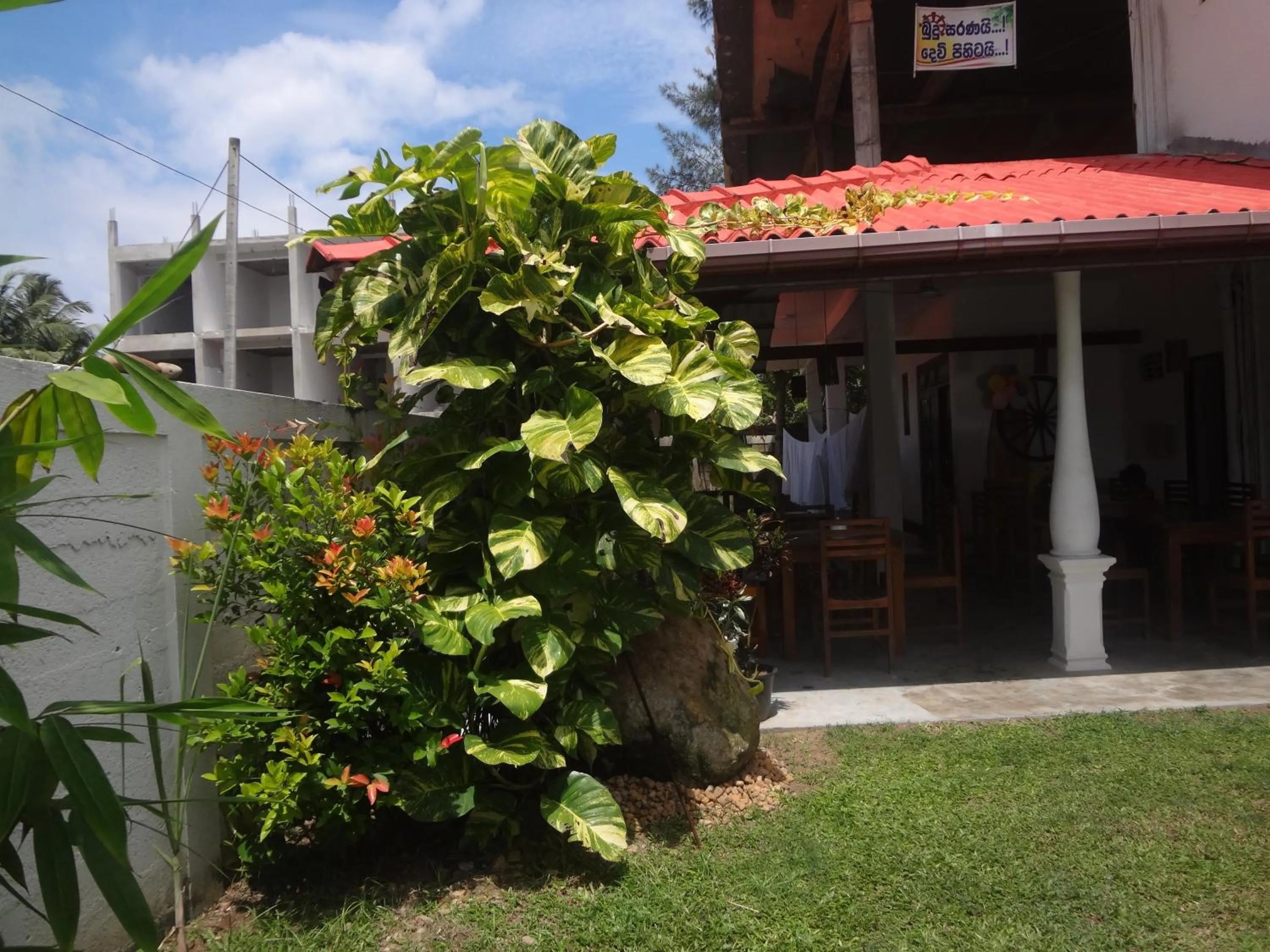 Ceylon Surf Guest and Restaurant