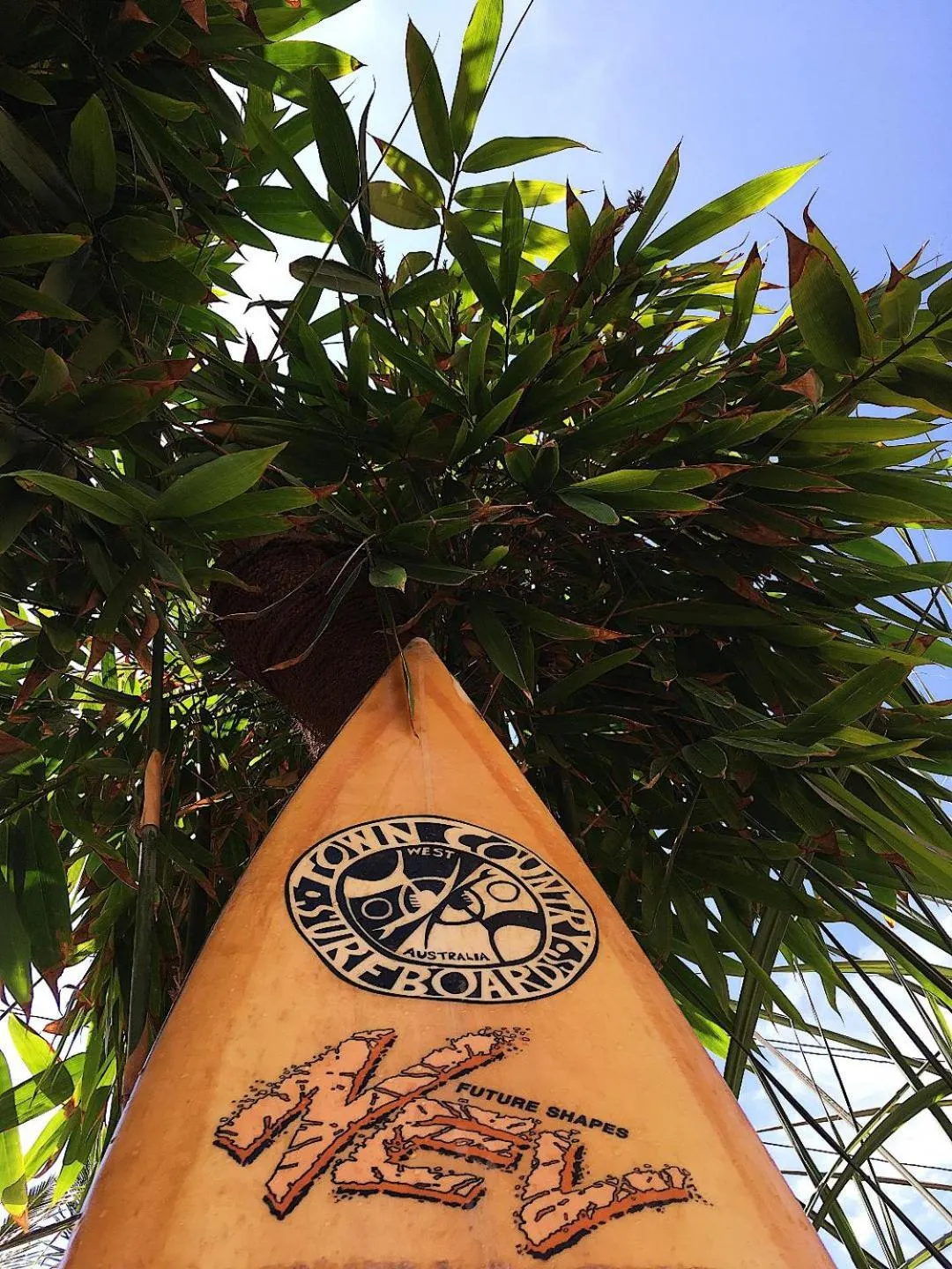 Ceylon Surf Guest and Restaurant