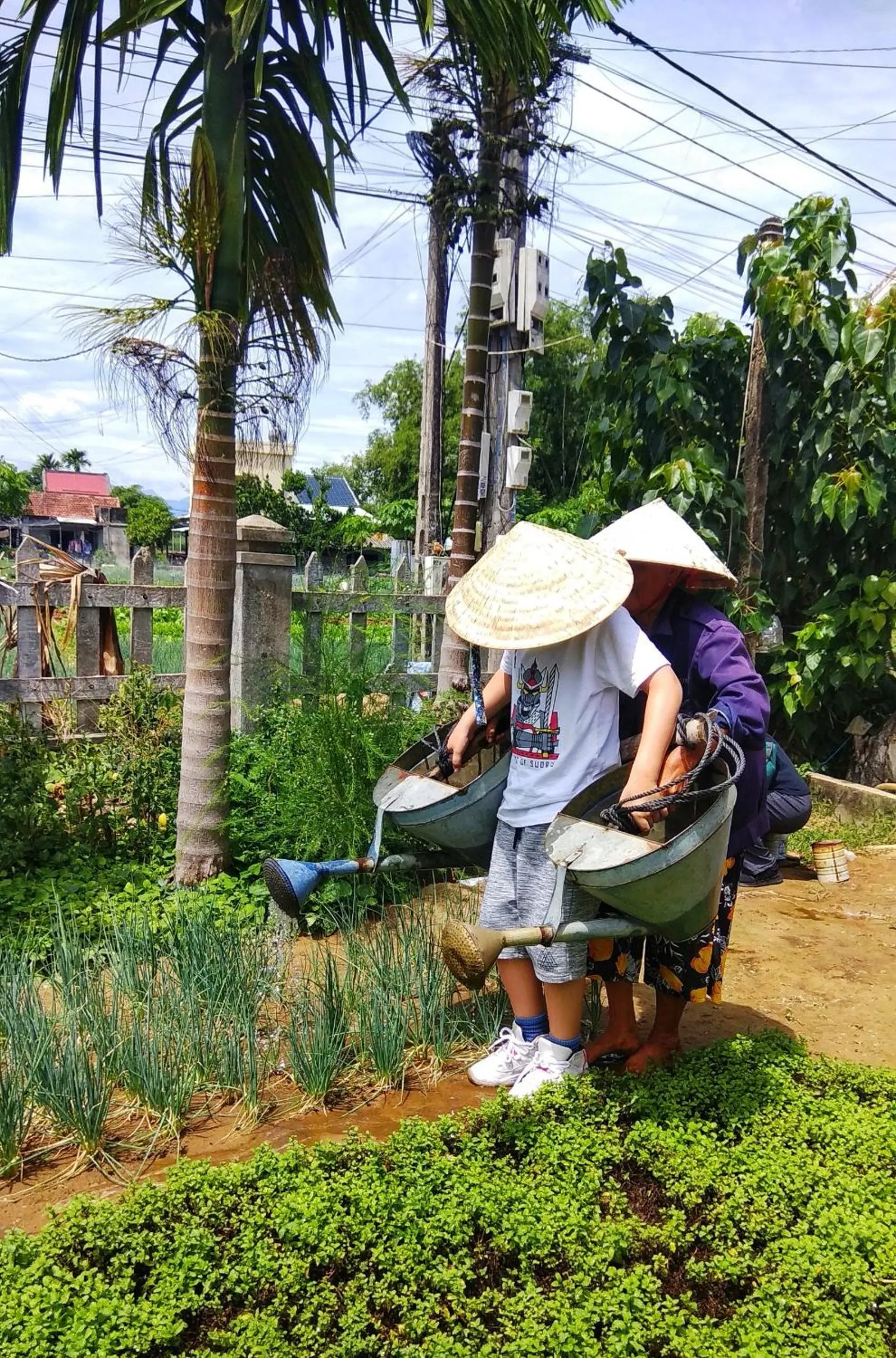 Activities in Jolie Villa Hoi An