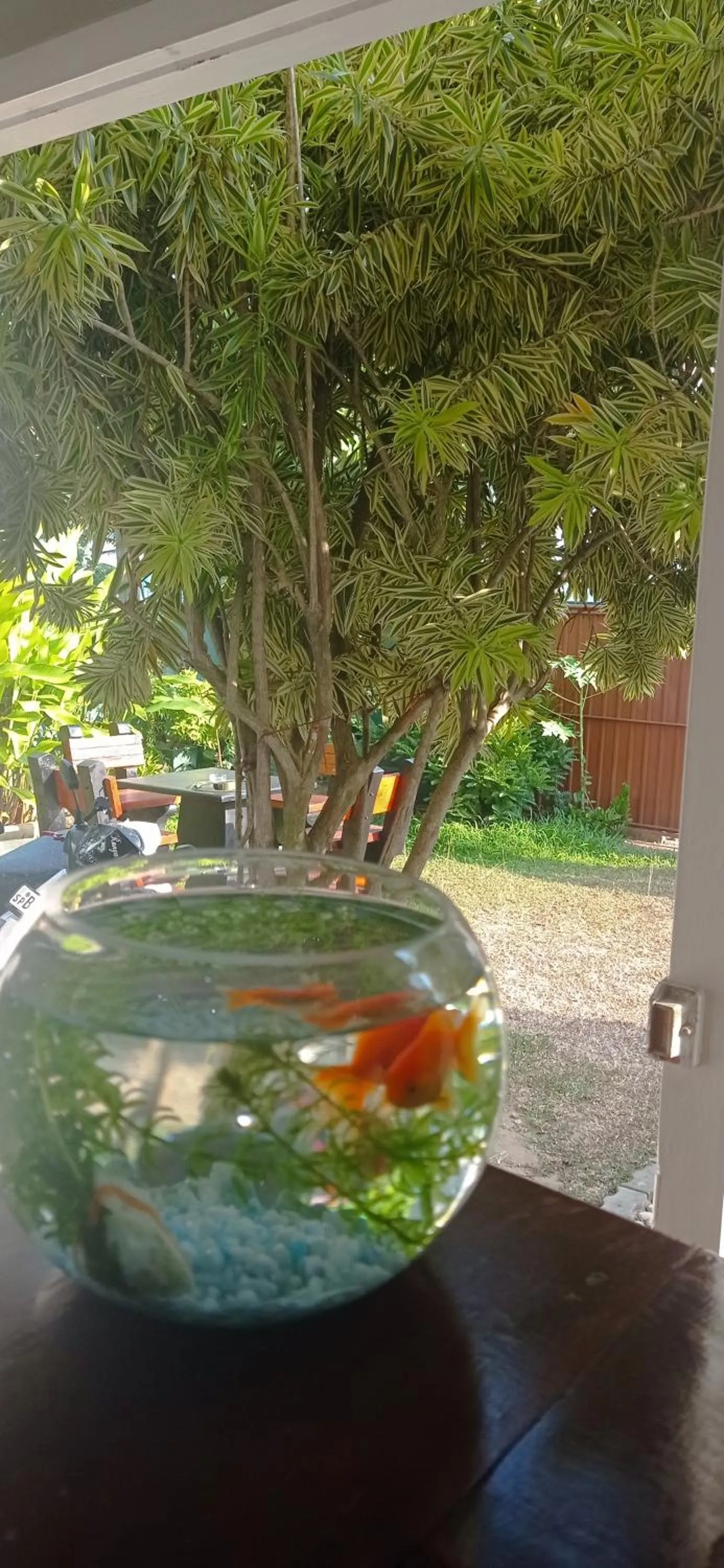 White Surfing Beach Resort