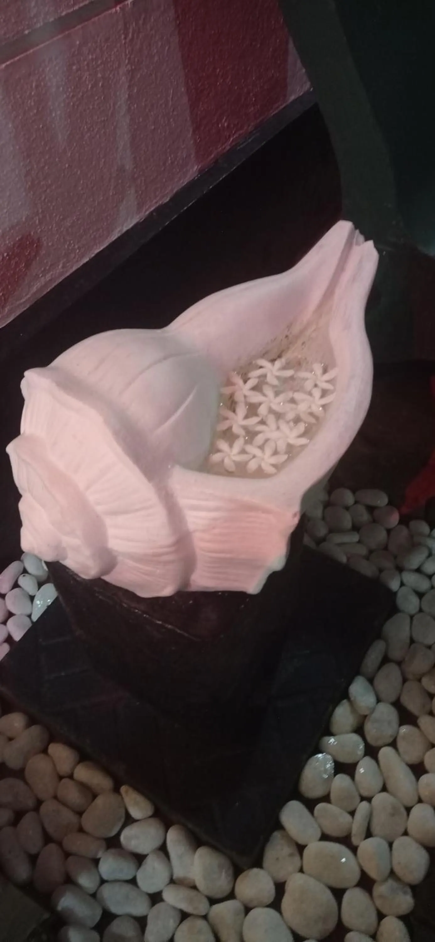 White Surfing Beach Resort