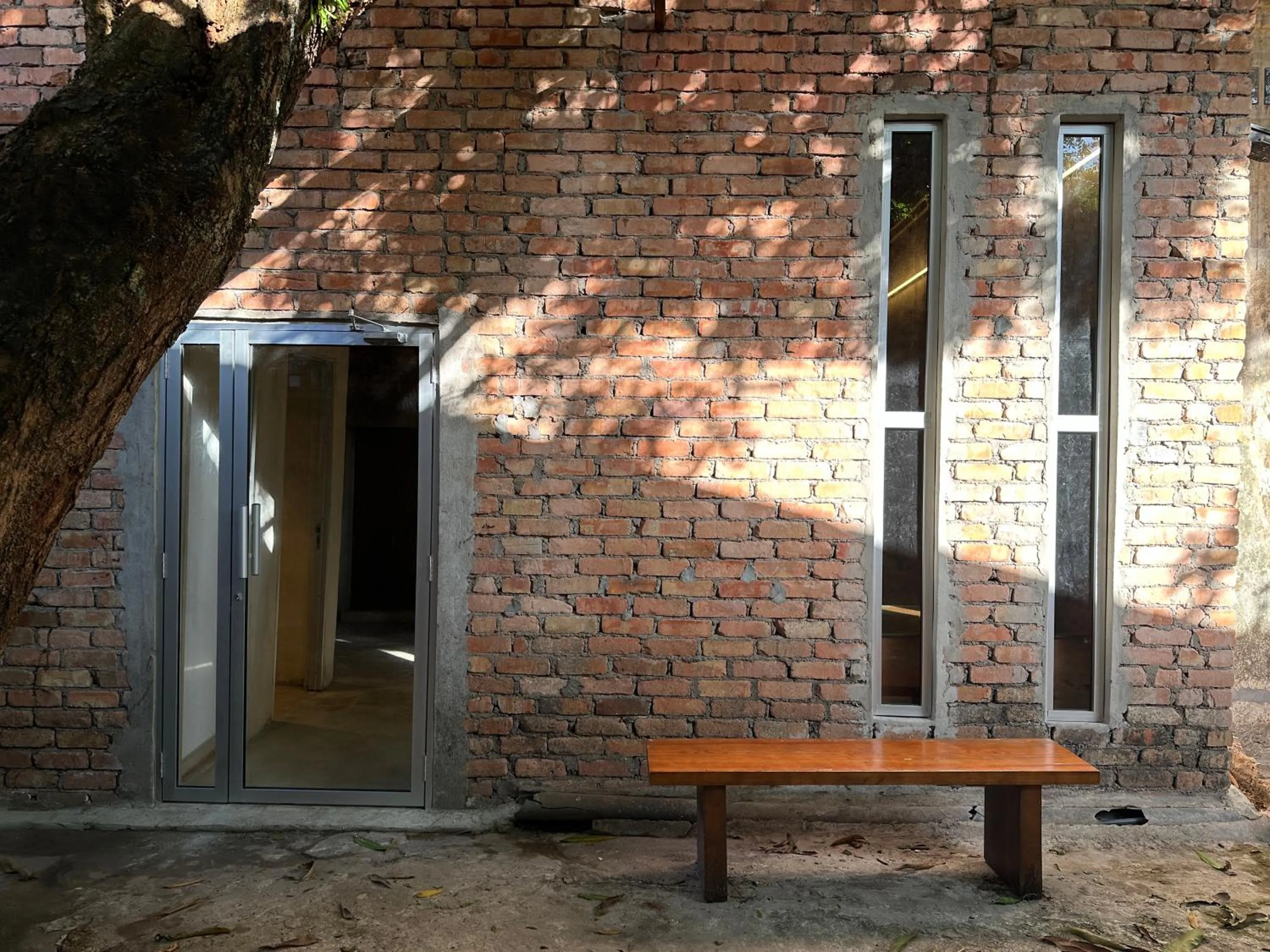 Garden in The Frame Guesthouse