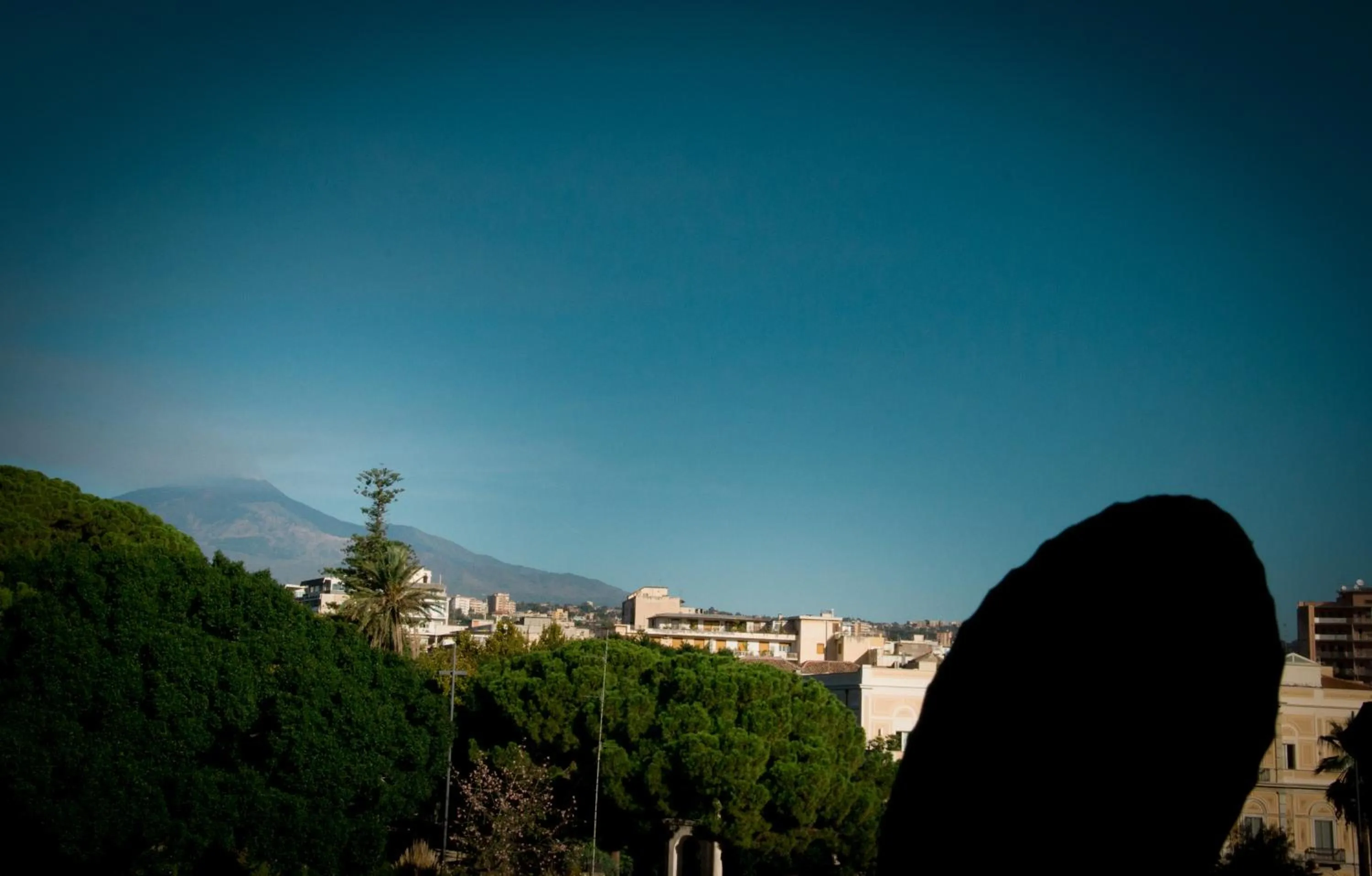 Spring in Eh13 Luxury Accommodation