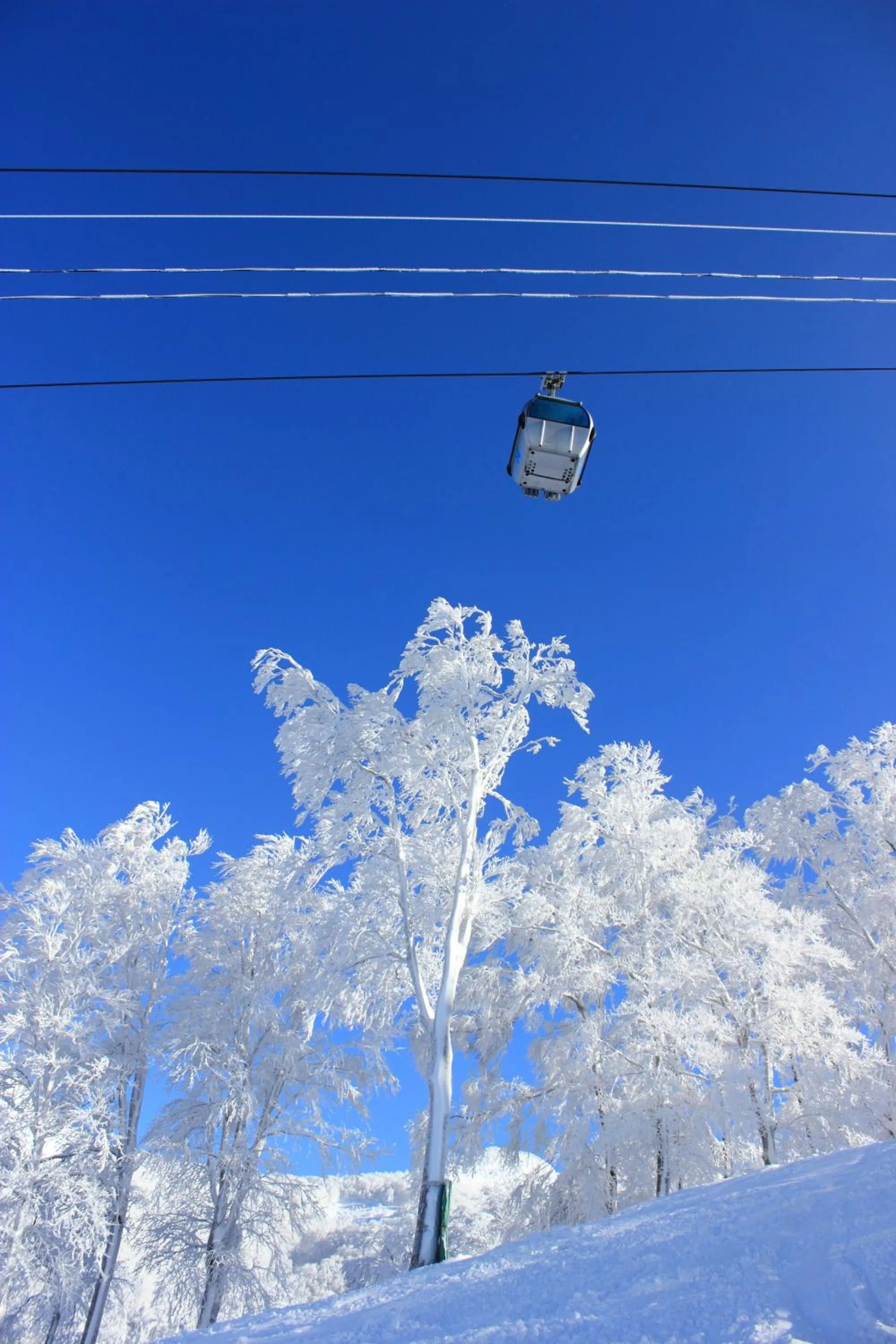 Winter in Rockwood Hotel & Spa