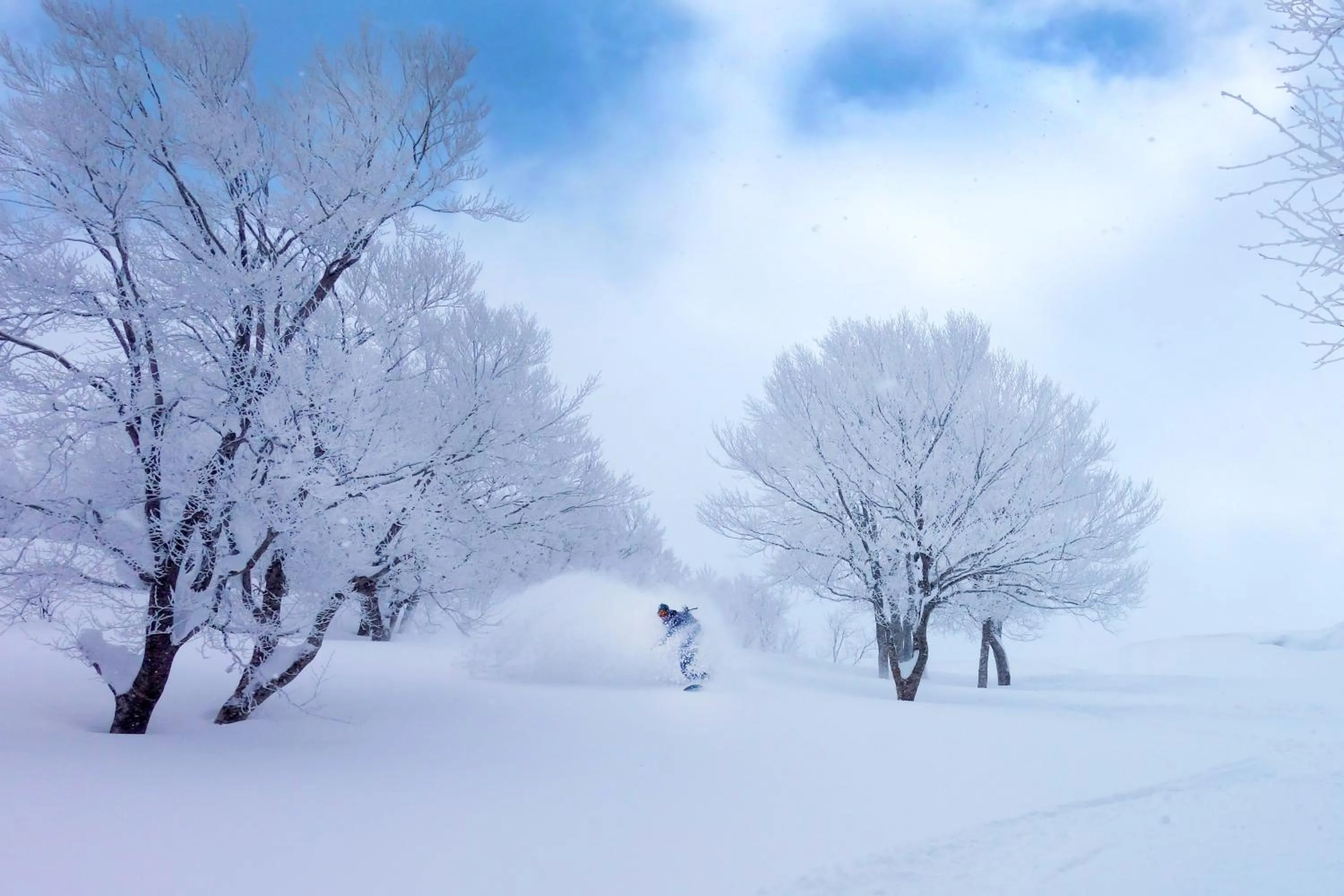 Skiing in Rockwood Hotel & Spa