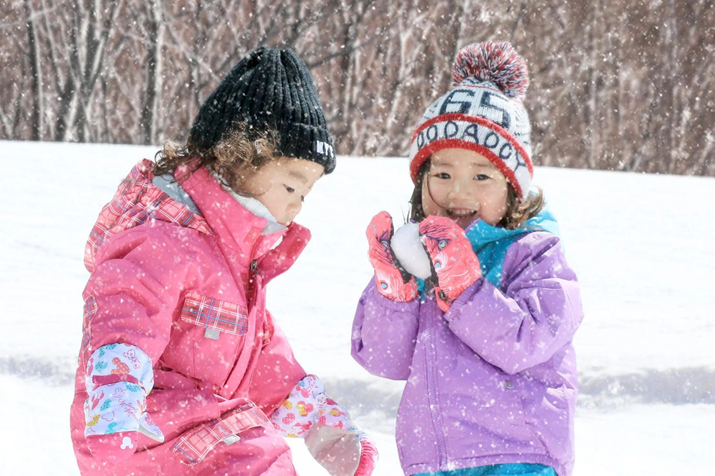 Winter in Rockwood Hotel & Spa