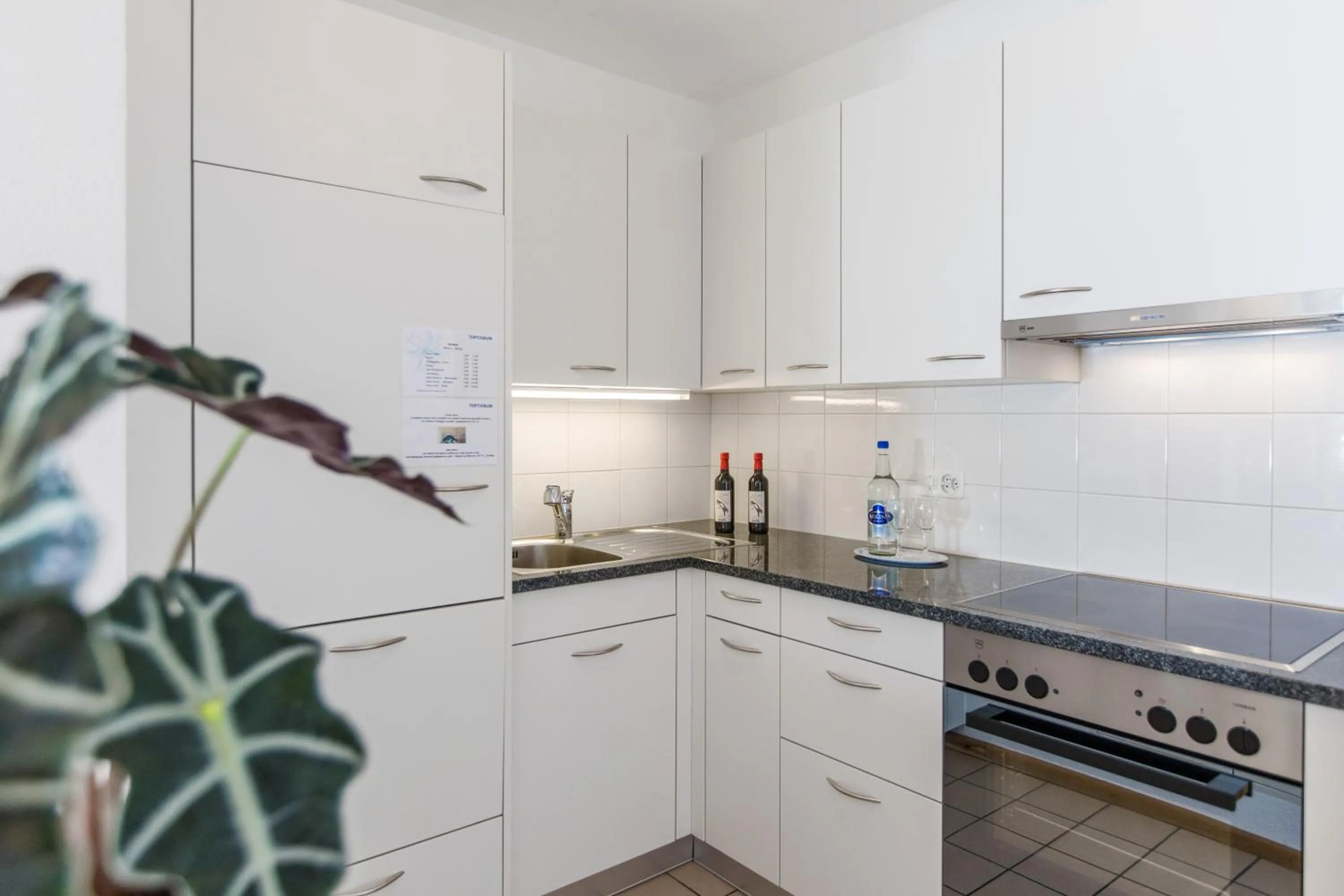 Kitchen or kitchenette in Tertianum Residenza Al Lido - Appartements & Restaurant