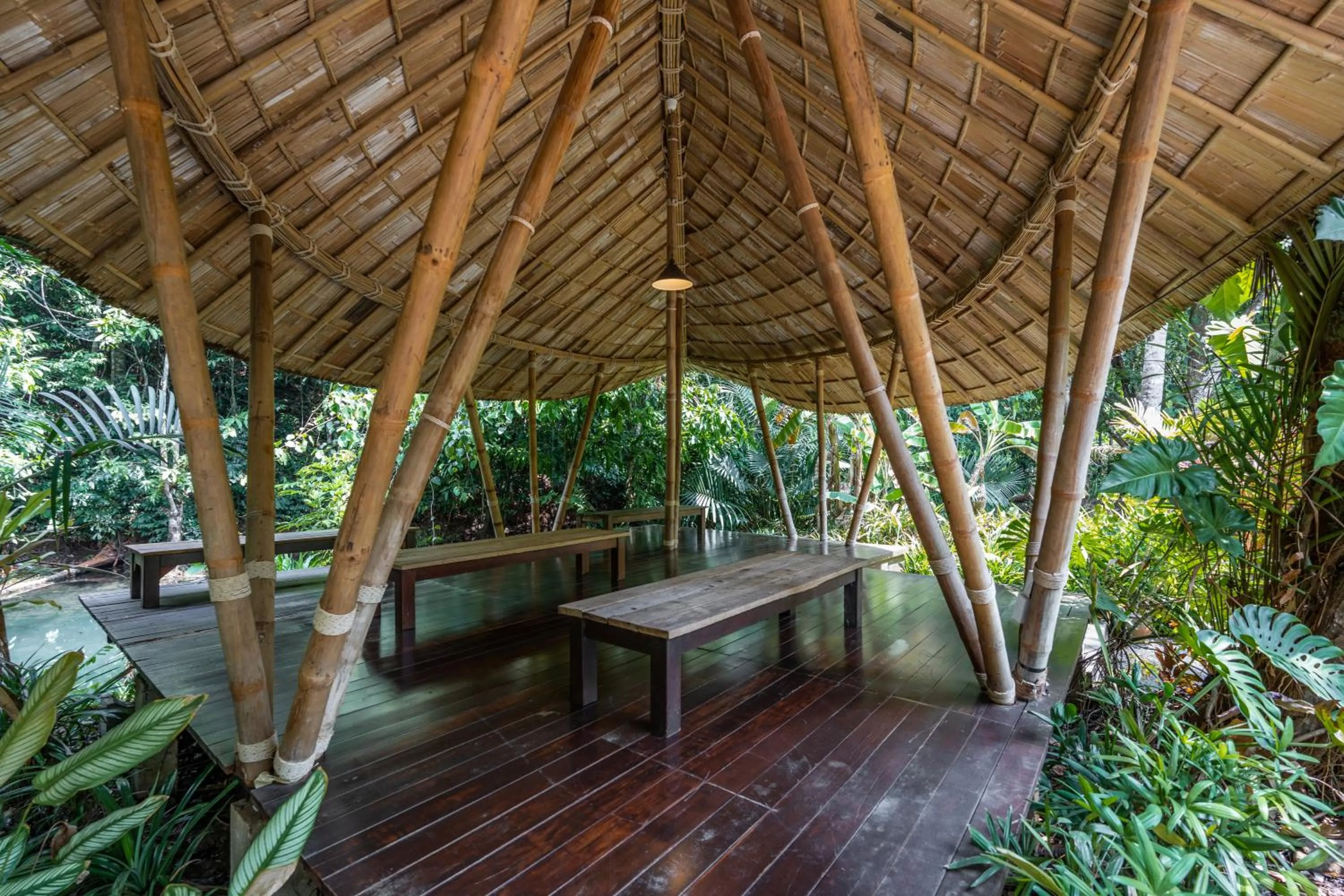 Natural landscape in Blu Monkey Pooltara Krabi Hotel & Villas Pet Friendly