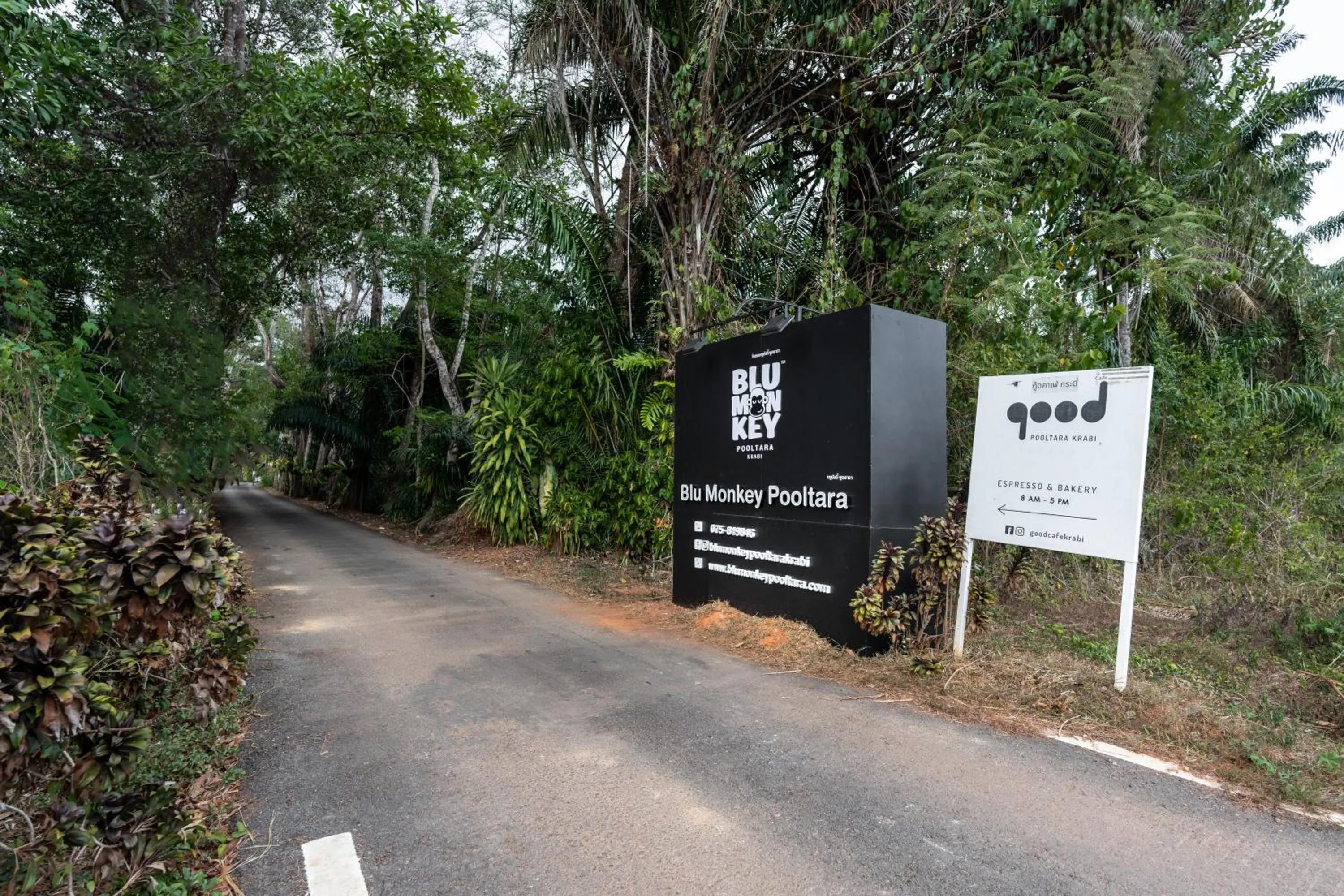 Logo/Certificate/Sign in Blu Monkey Pooltara Krabi Hotel & Villas Pet Friendly