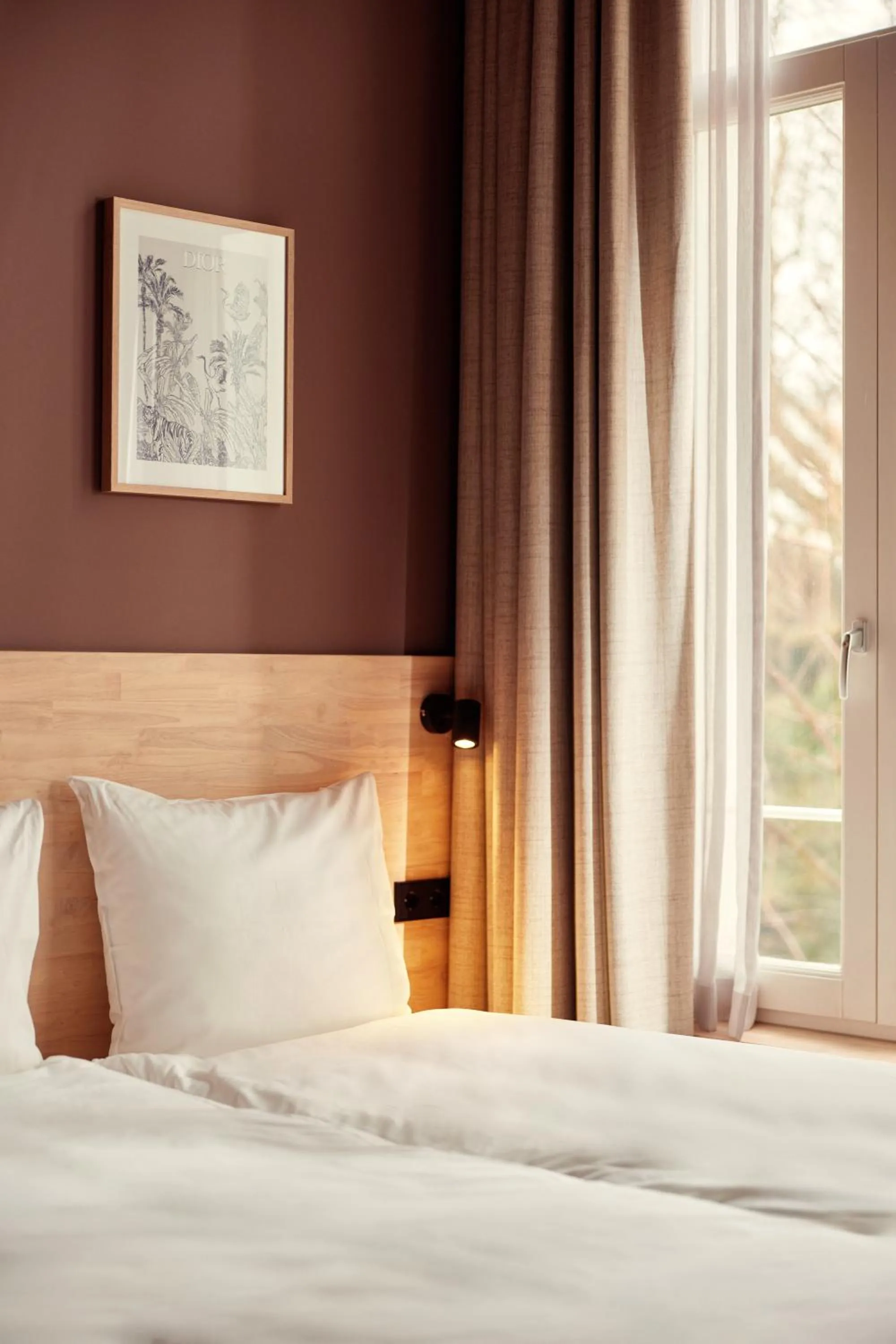 Bed in The Elephant Hostel