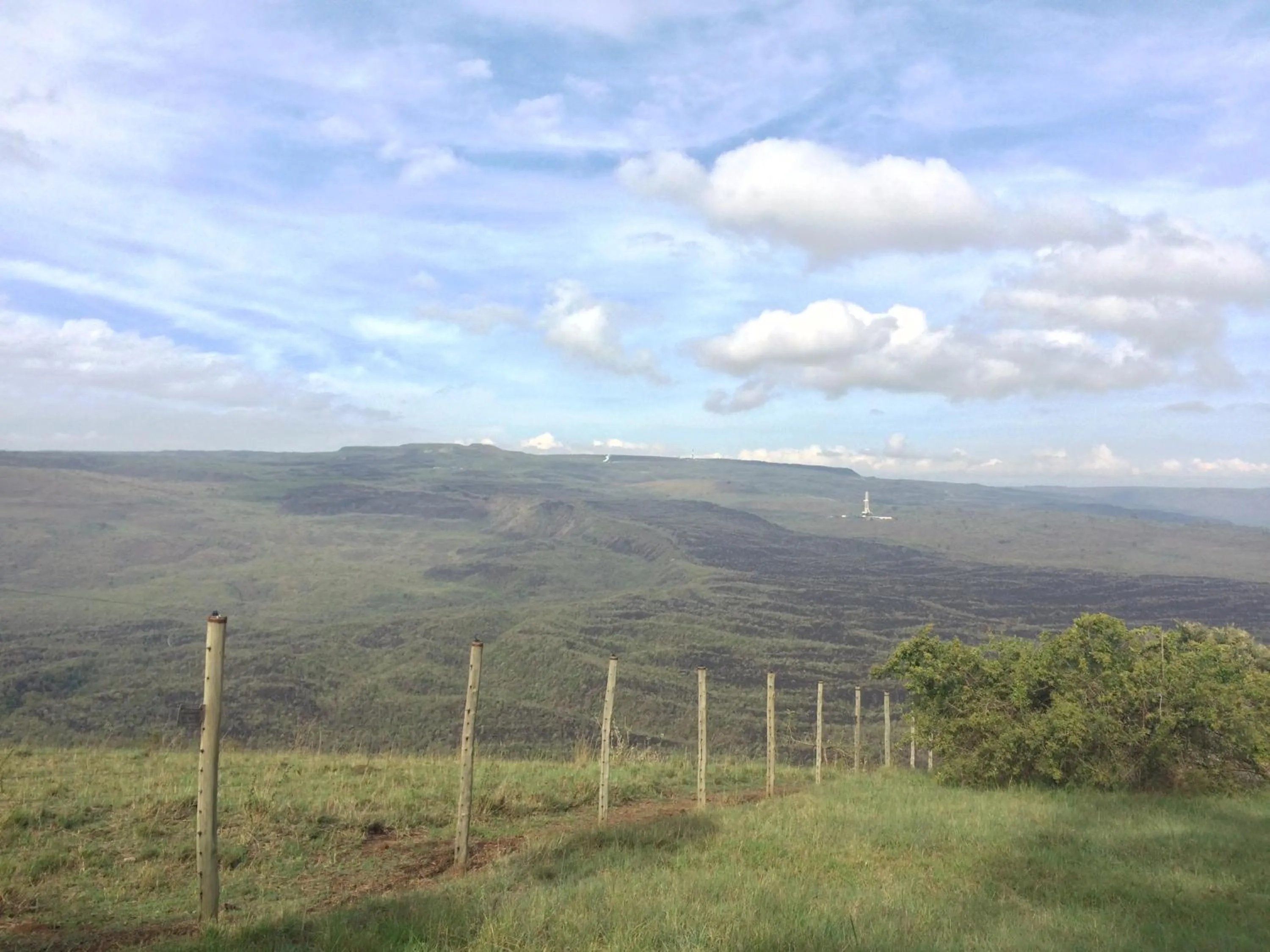 Garden view in Maili Saba Camp