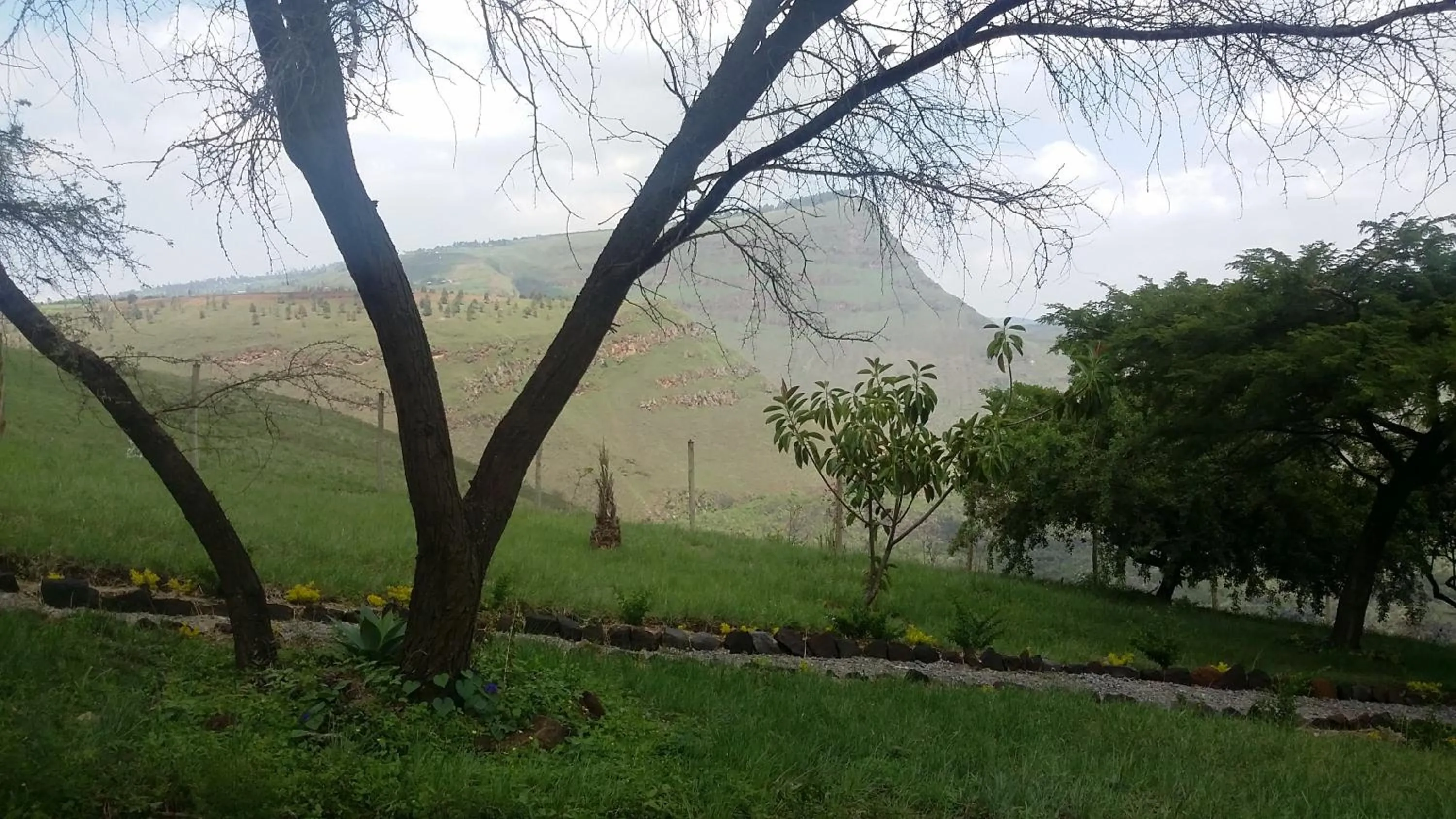 Garden in Maili Saba Camp